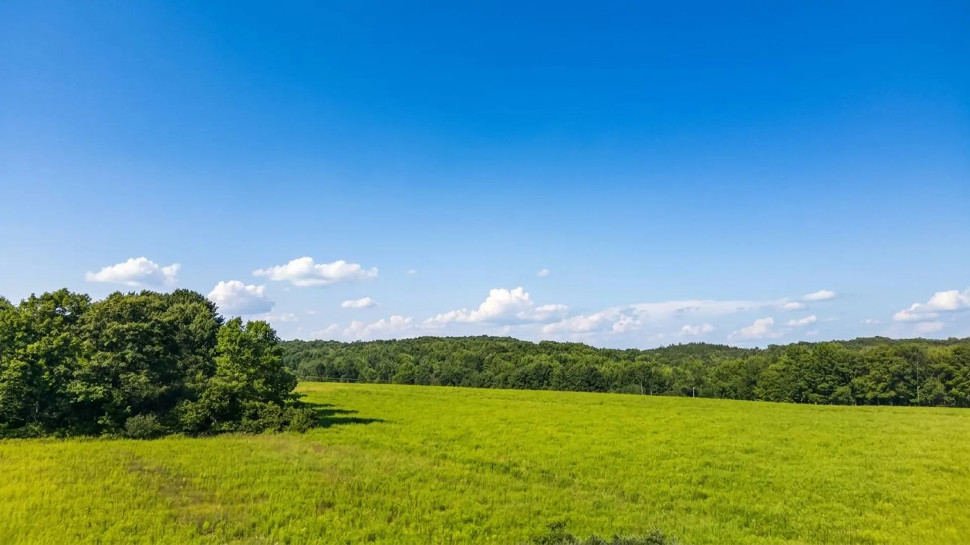 Property at L14.02 Hinman Rd, Cooperstown, NY 13326 8