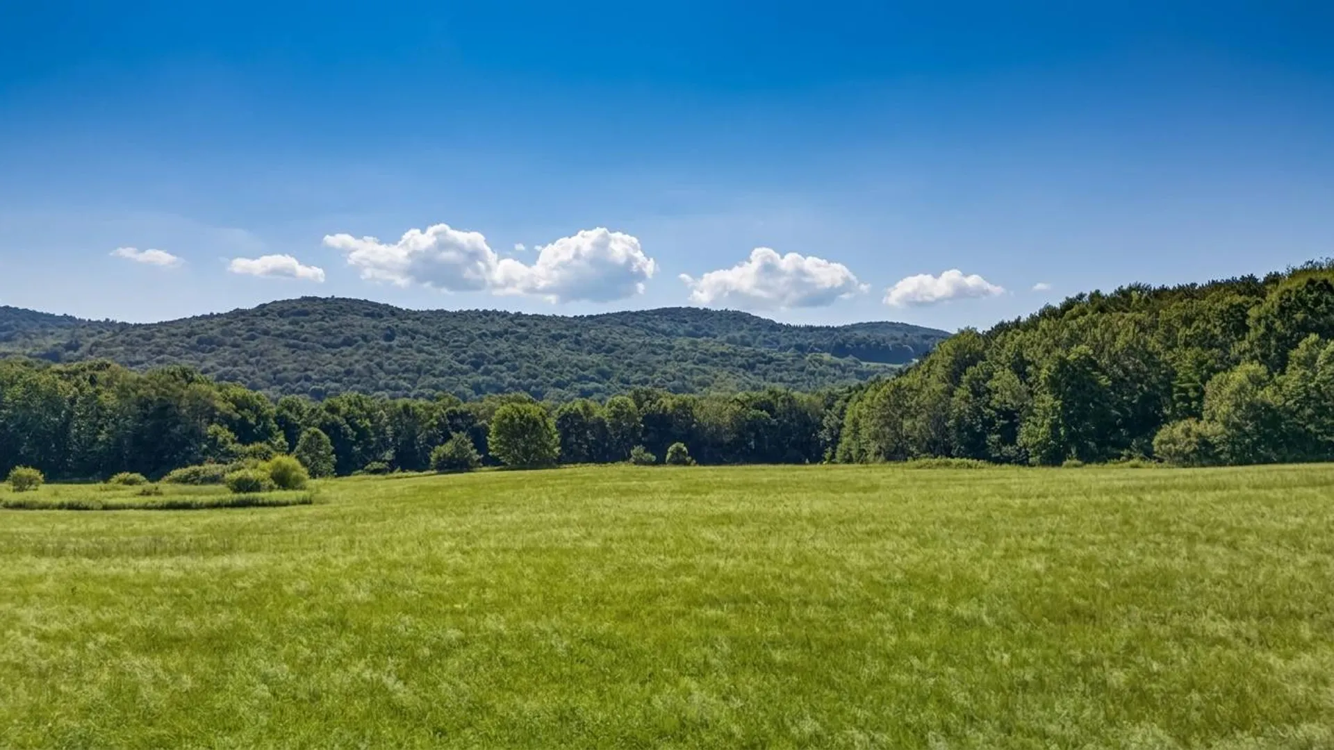 Property at L14.02 Hinman Rd, Cooperstown, NY 13326 9