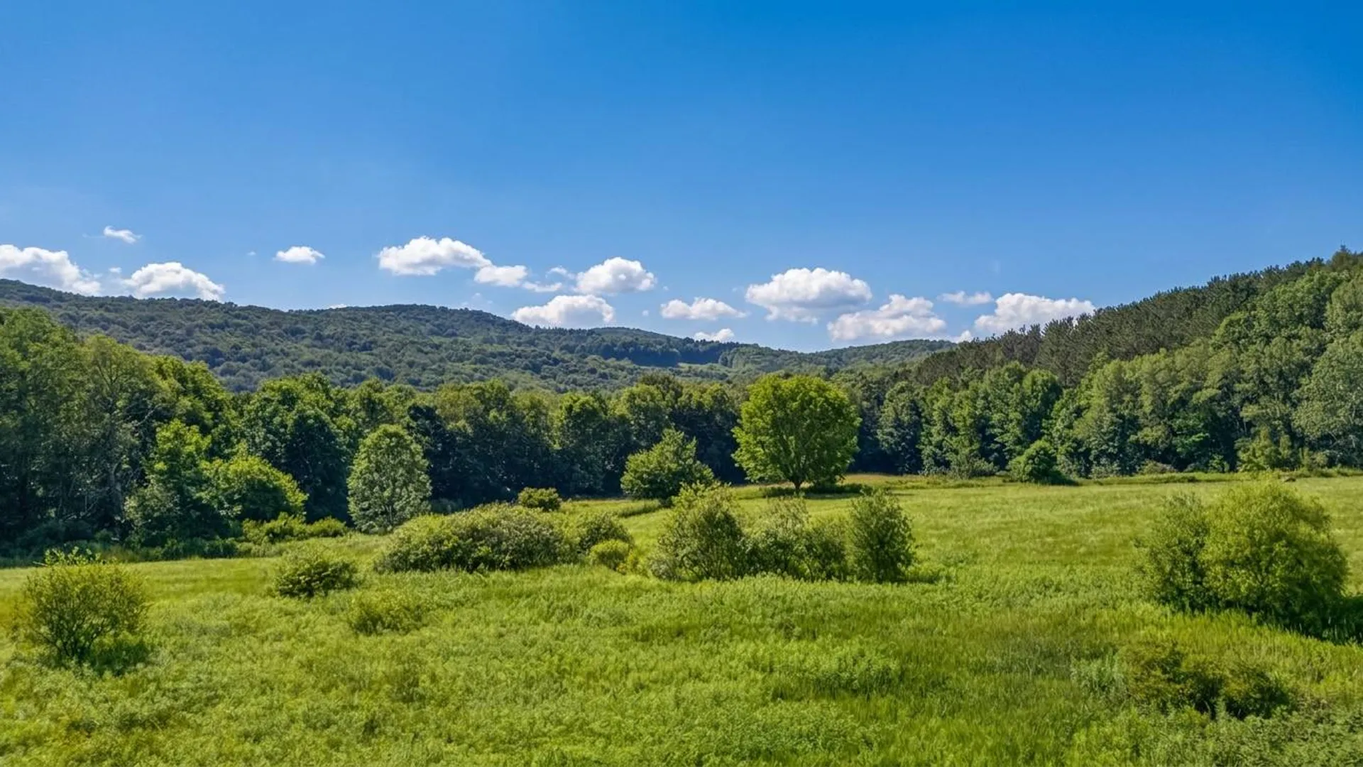 Property at L14.02 Hinman Rd, Cooperstown, NY 13326 16