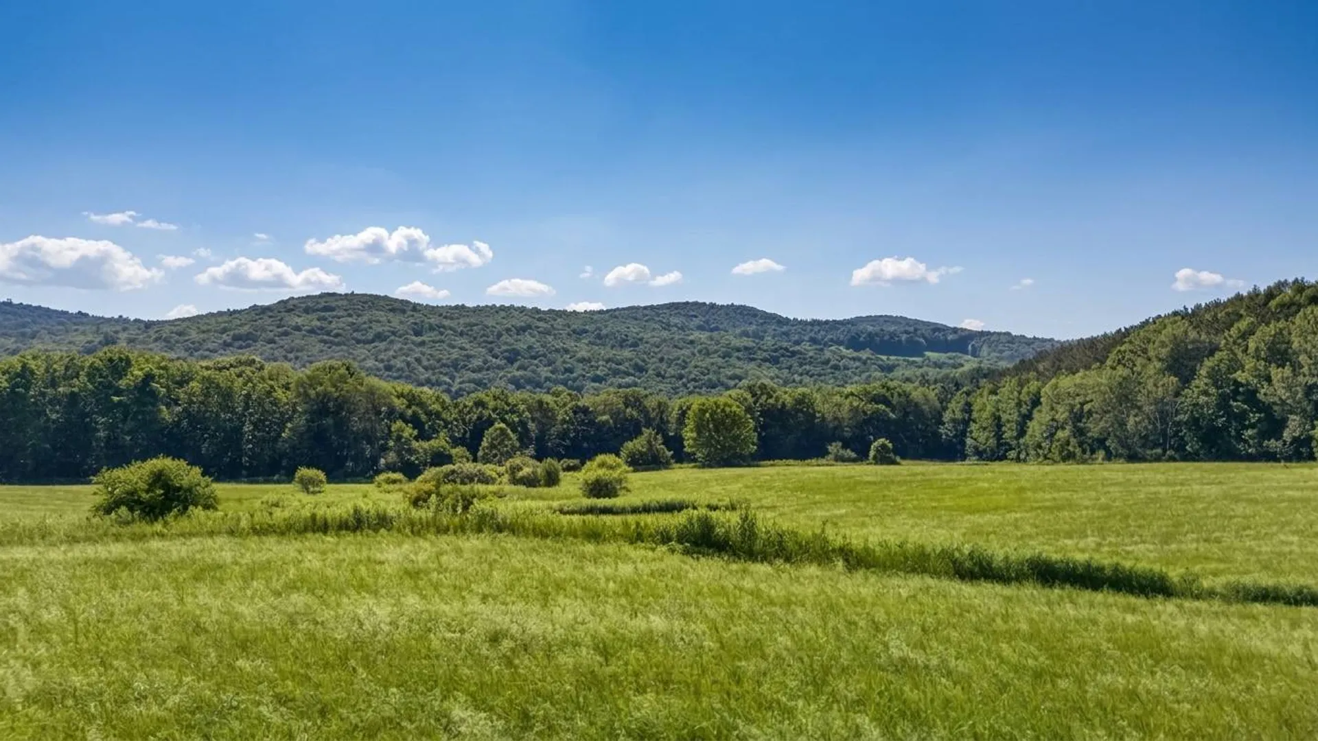 Property at L14.02 Hinman Rd, Cooperstown, NY 13326 19