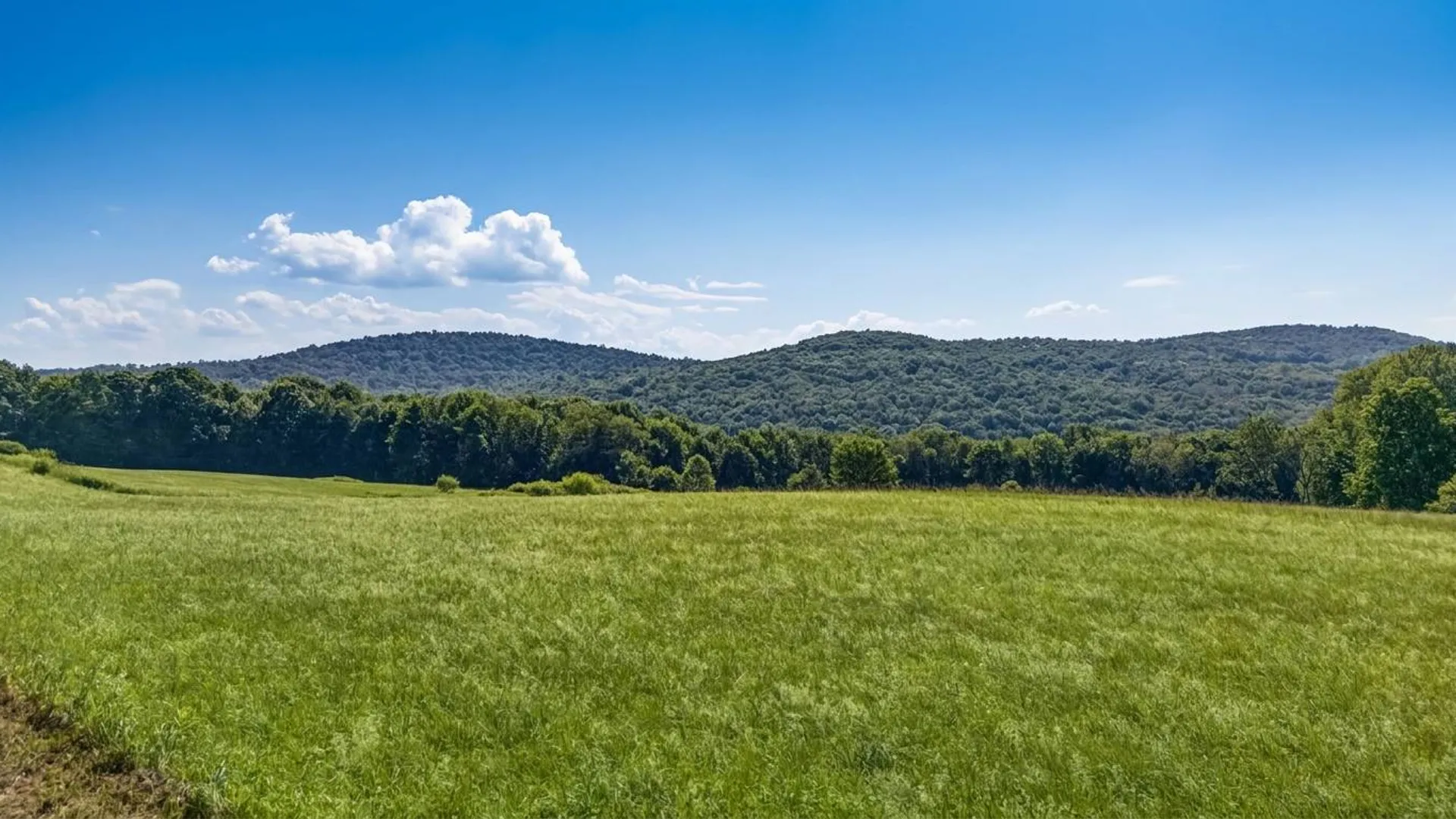 Property at L14.02 Hinman Rd, Cooperstown, NY 13326 20