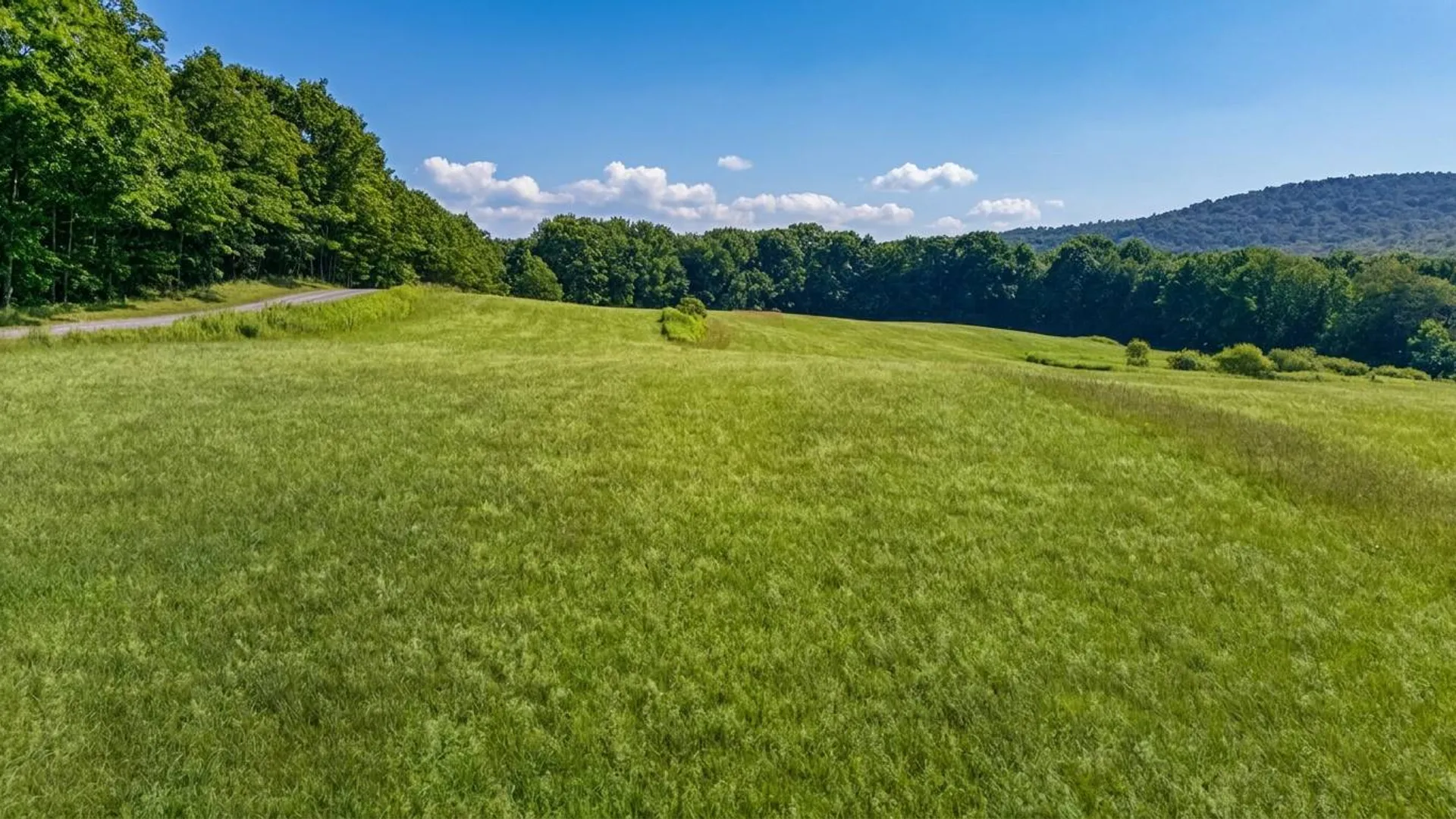 Property at L14.02 Hinman Rd, Cooperstown, NY 13326 22