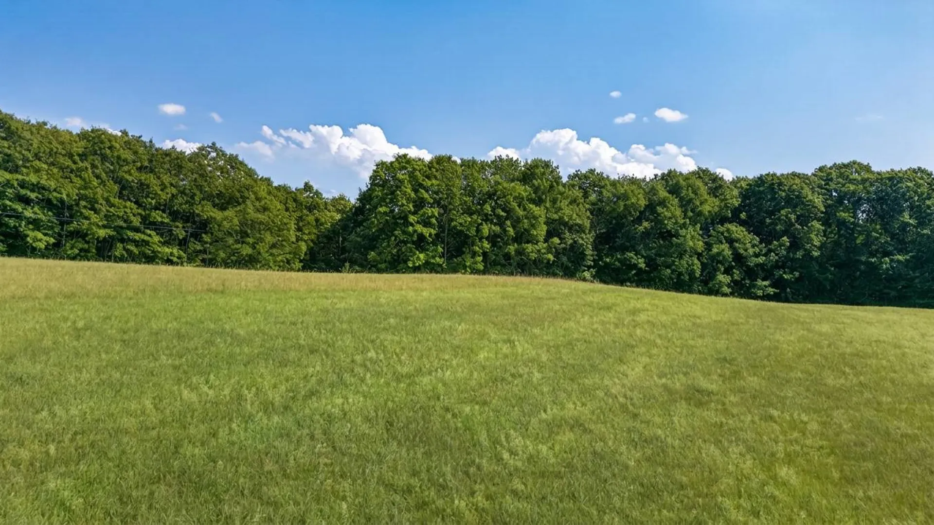 Property at L14.02 Hinman Rd, Cooperstown, NY 13326 23
