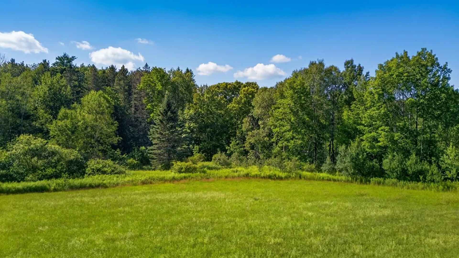 Property at L14.02 Hinman Rd, Cooperstown, NY 13326 26