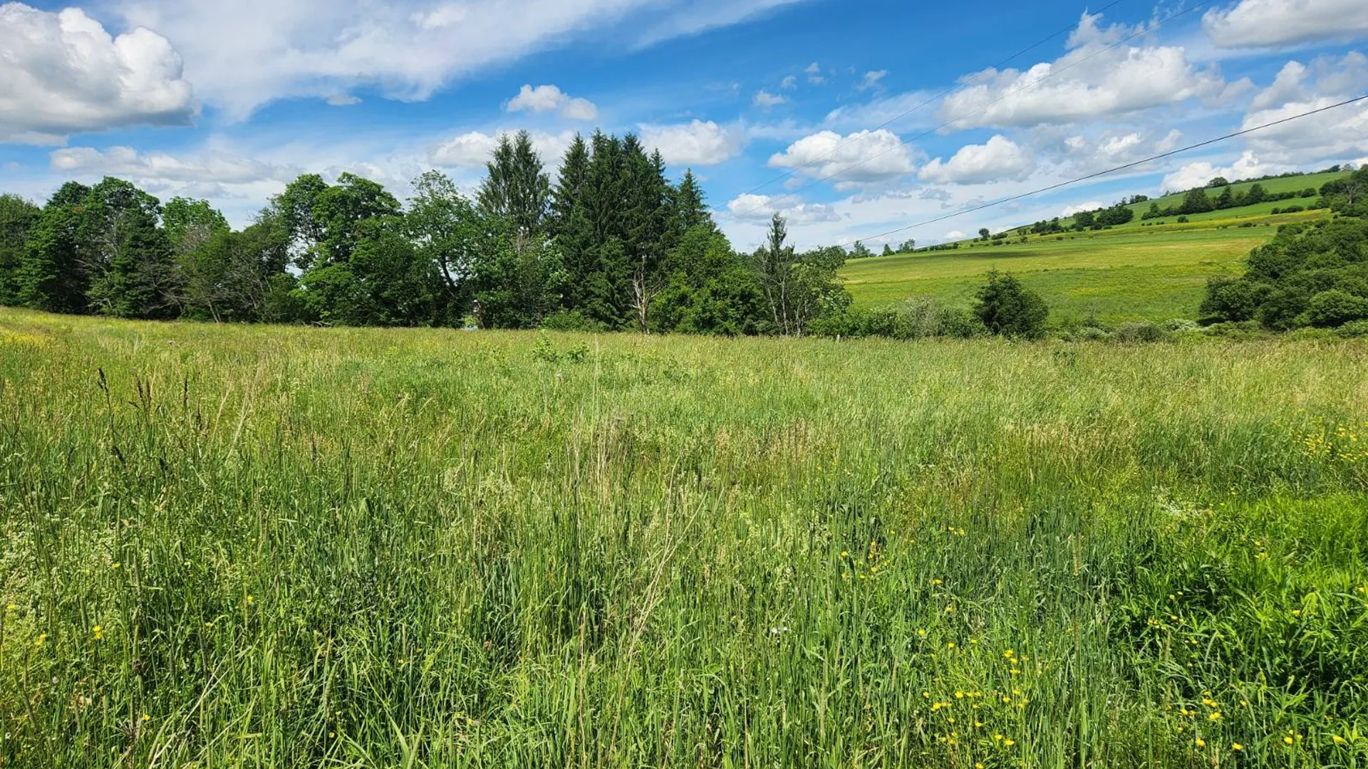 Property at 1023 Campbell Road, Earlville, NY 13332 5