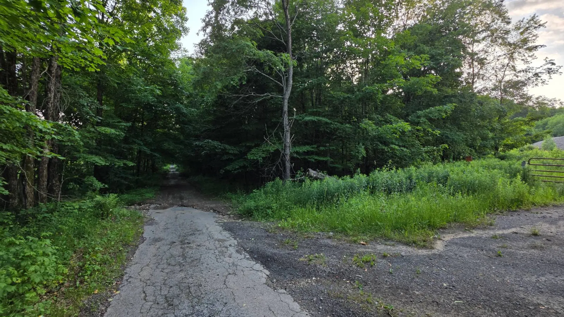Property at 0 Osceola Rd, Lewis, NY 13489 2
