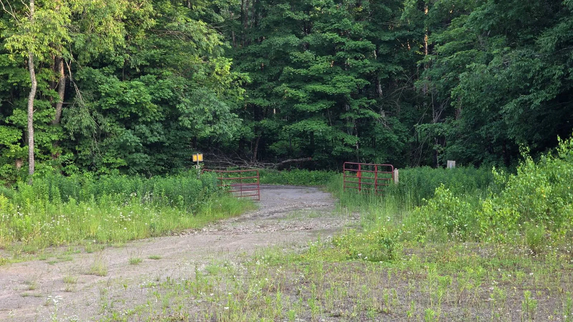 Property at 0 Osceola Rd, Lewis, NY 13489 3
