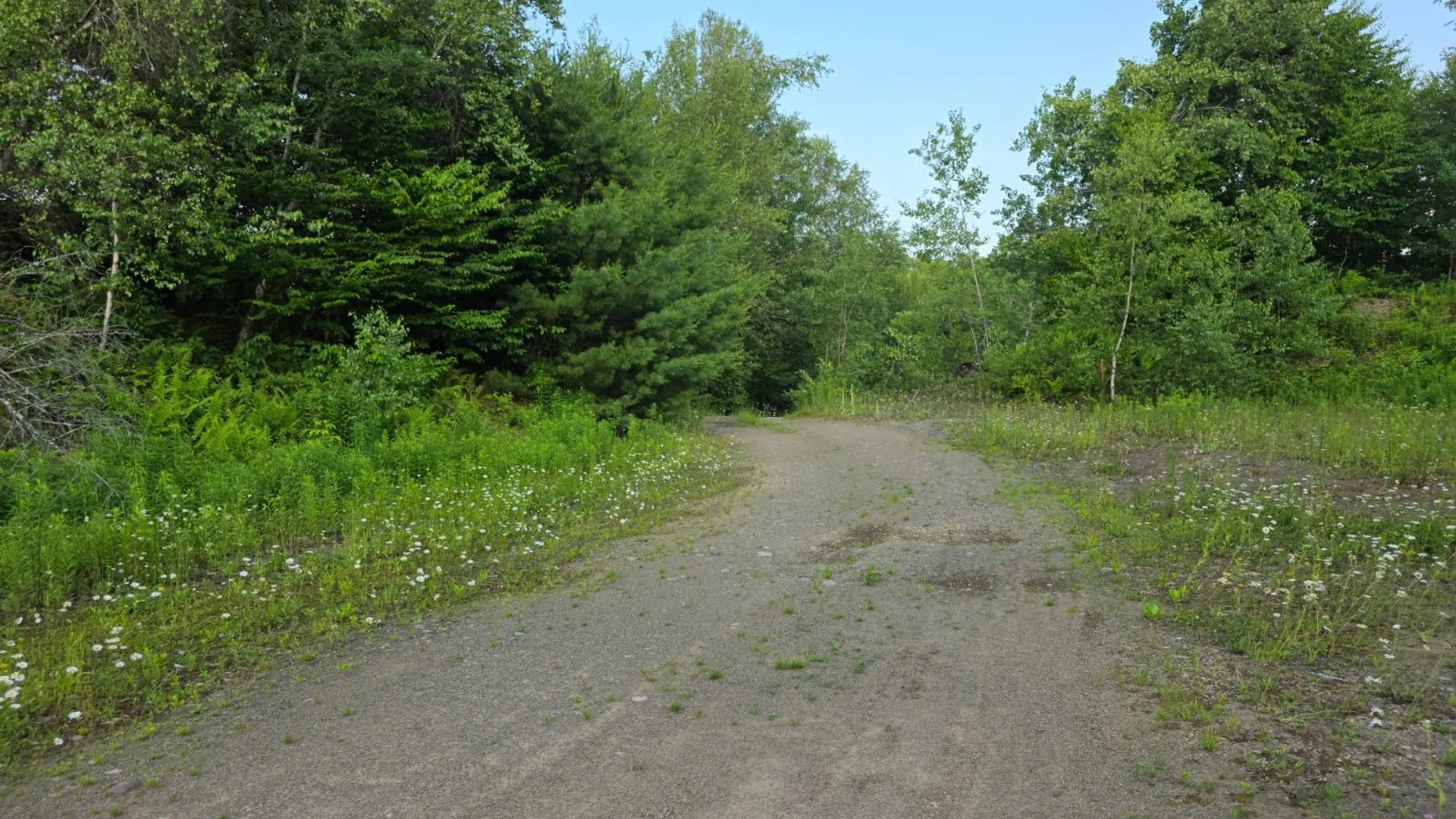 Property at 0 Osceola Rd, Lewis, NY 13489 4