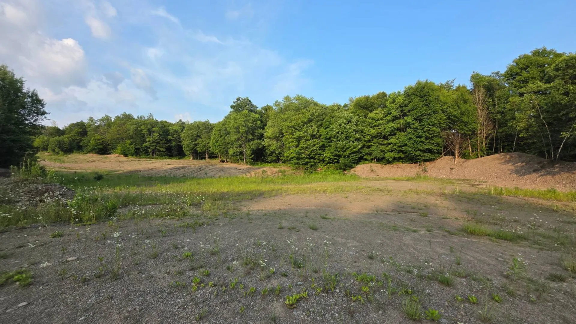 Property at 0 Osceola Rd, Lewis, NY 13489 5