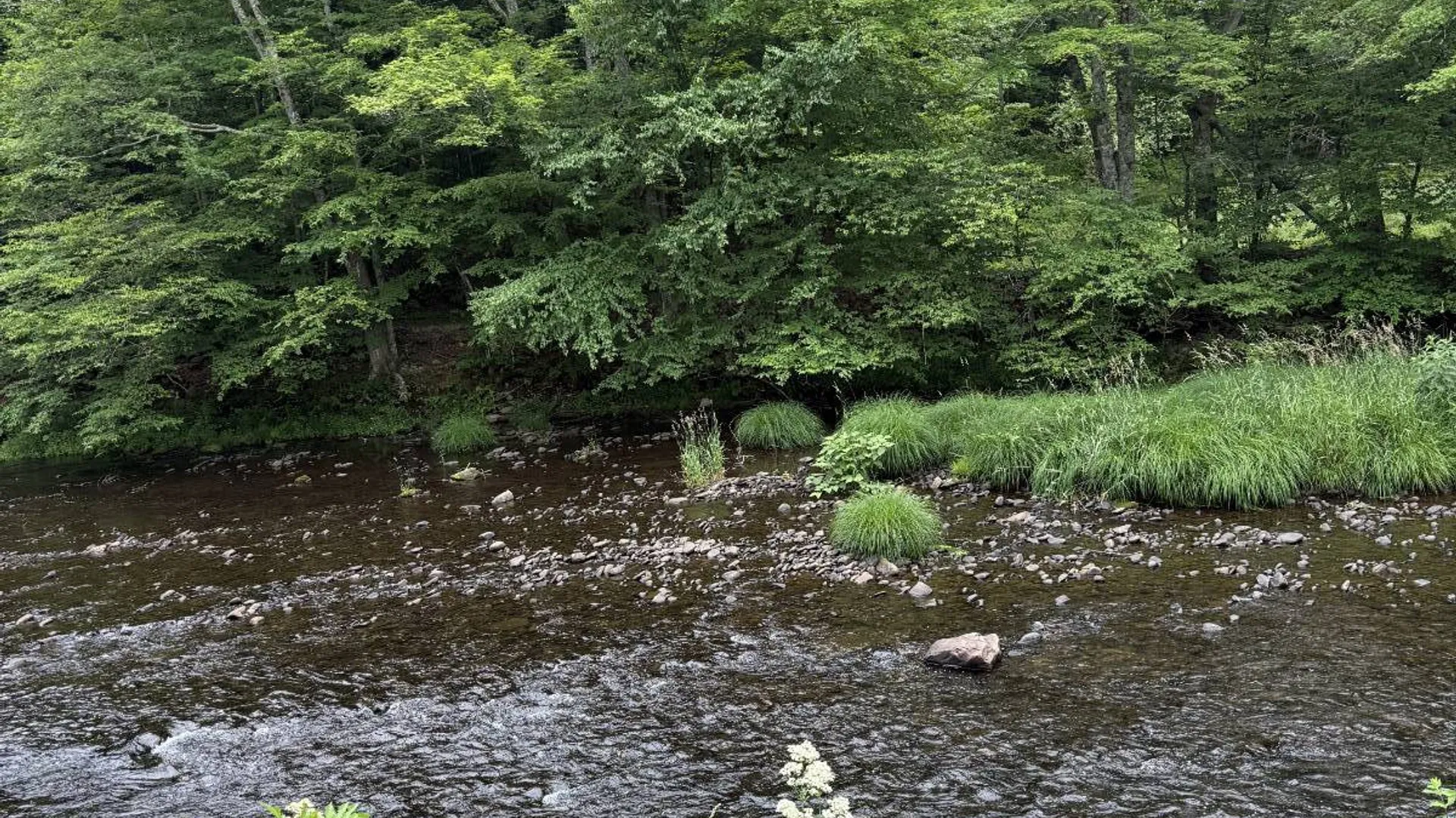 Property at 640 Debruce, Livingston Manor, NY 12758 19