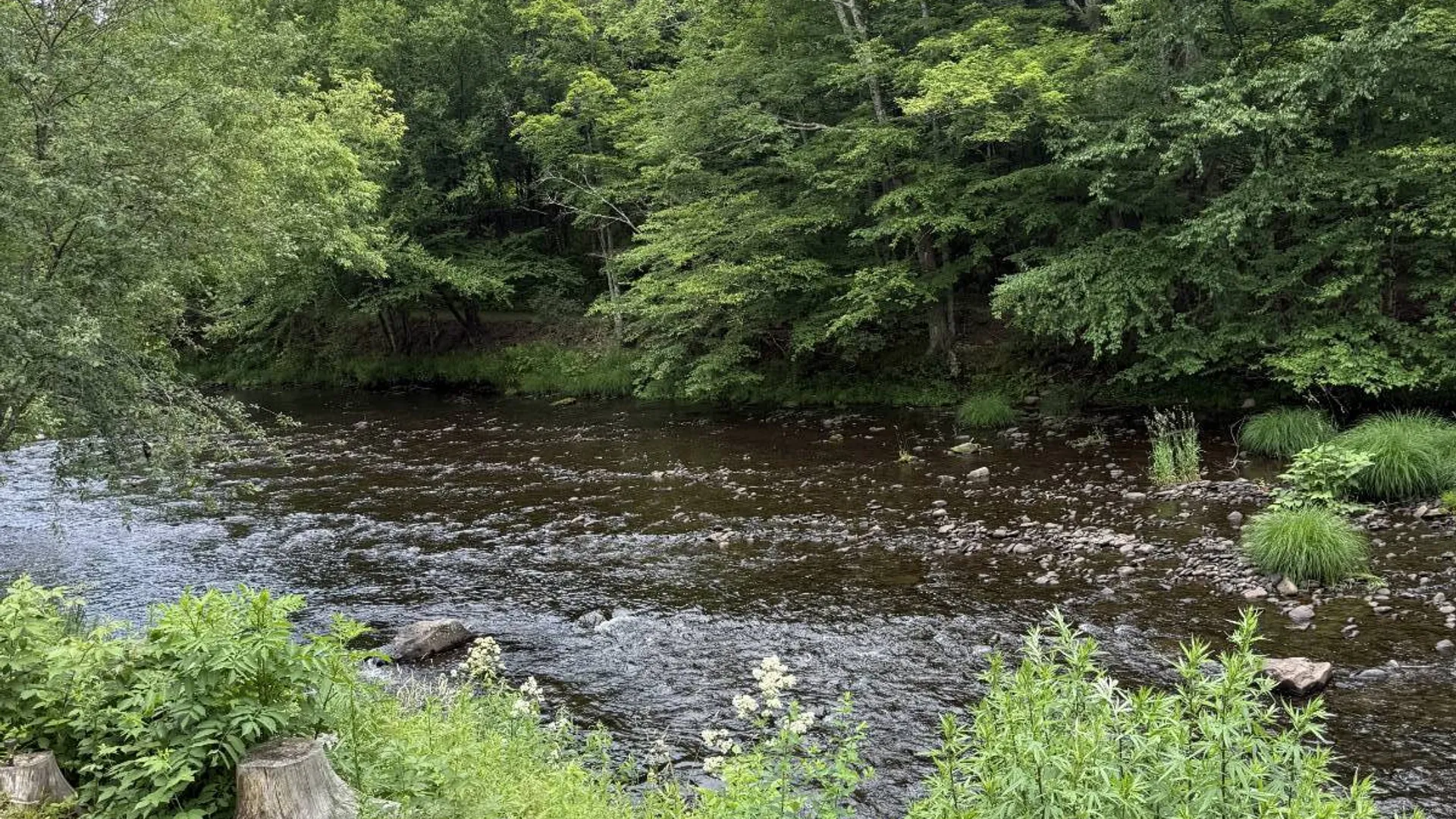 Property at 640 Debruce, Livingston Manor, NY 12758 38