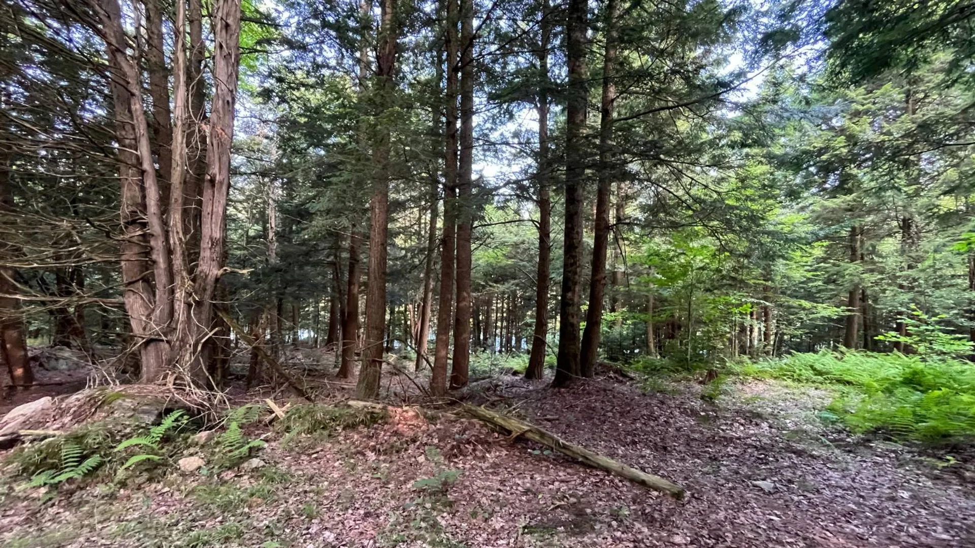 Property at 5533 County Route 24, Pierrepont, NY 13617 24