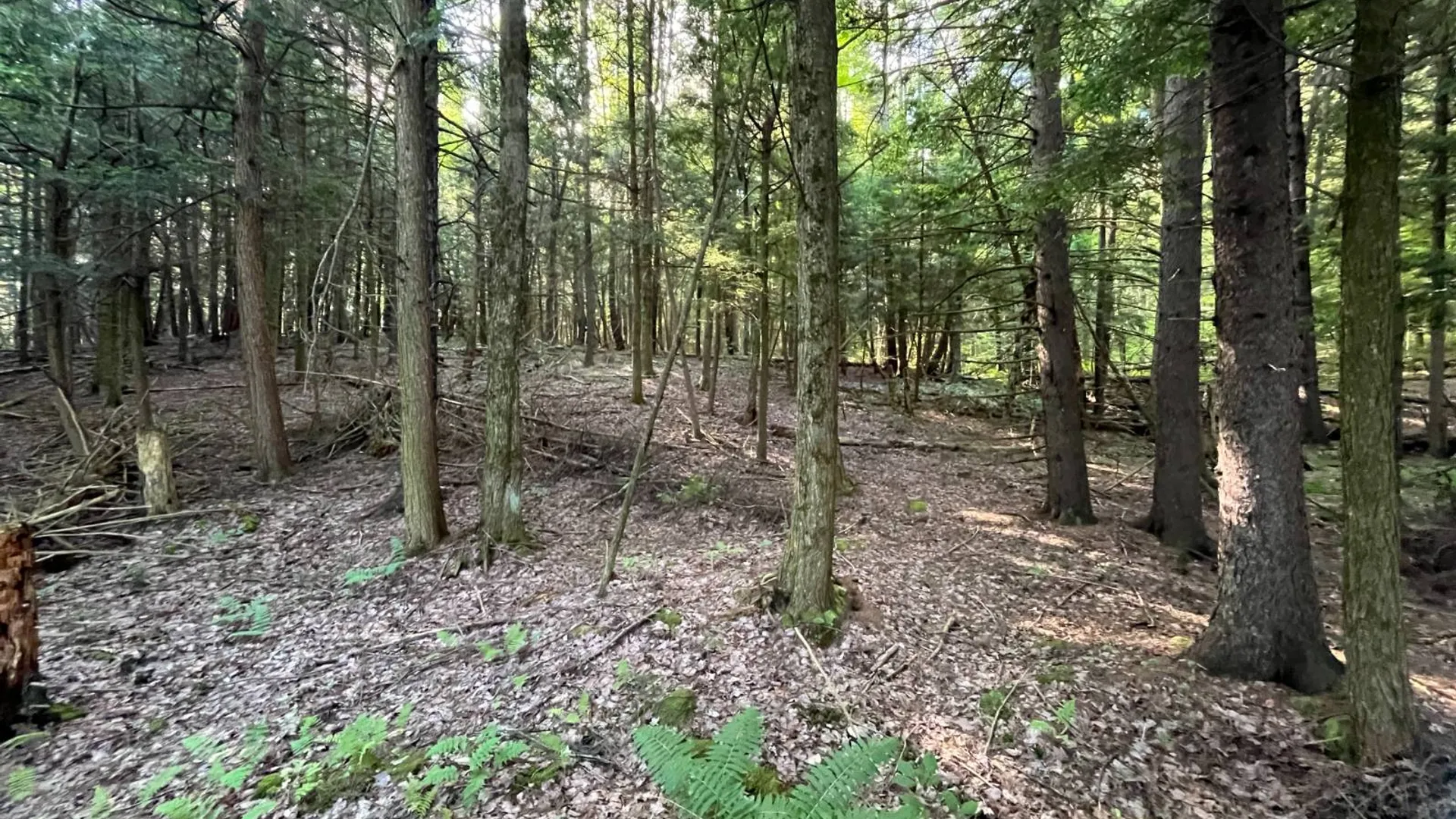 Property at 5533 County Route 24, Pierrepont, NY 13617 27