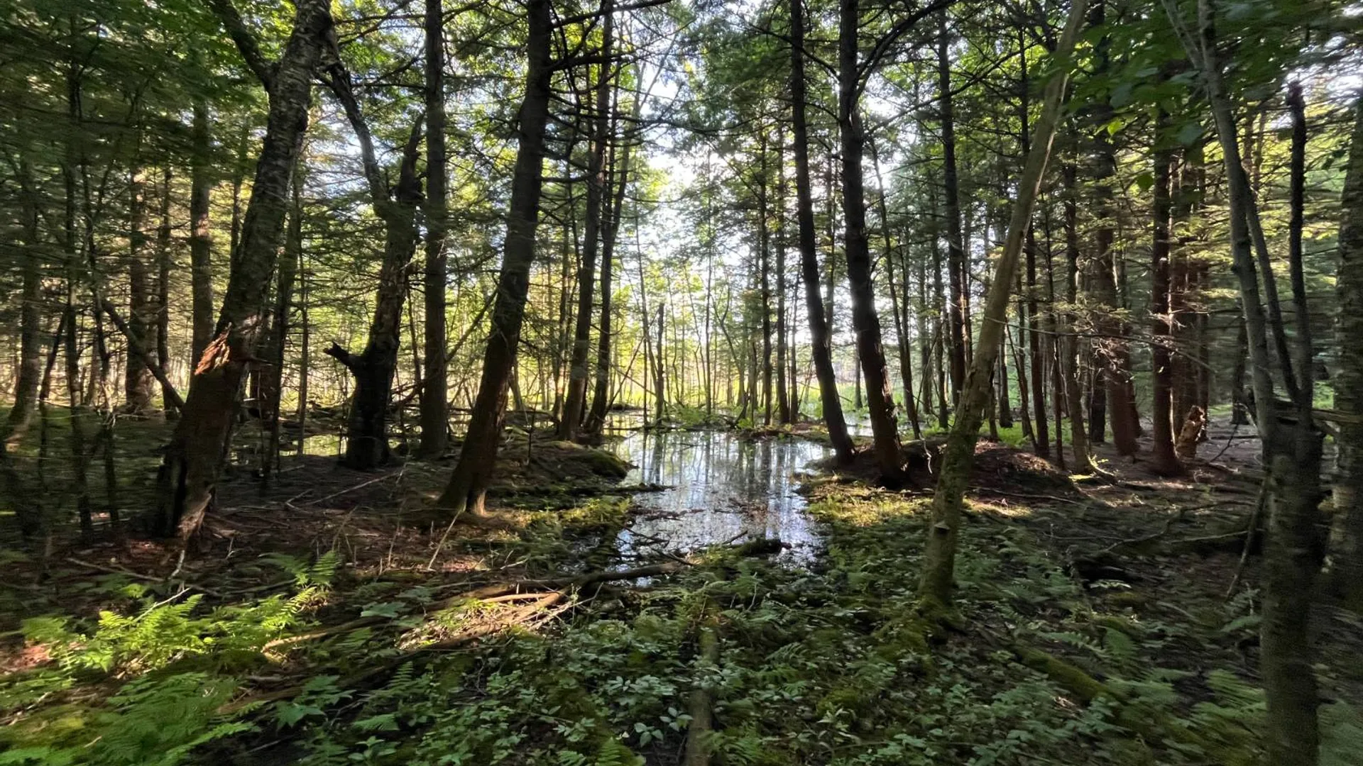 Property at 5533 County Route 24, Pierrepont, NY 13617 28