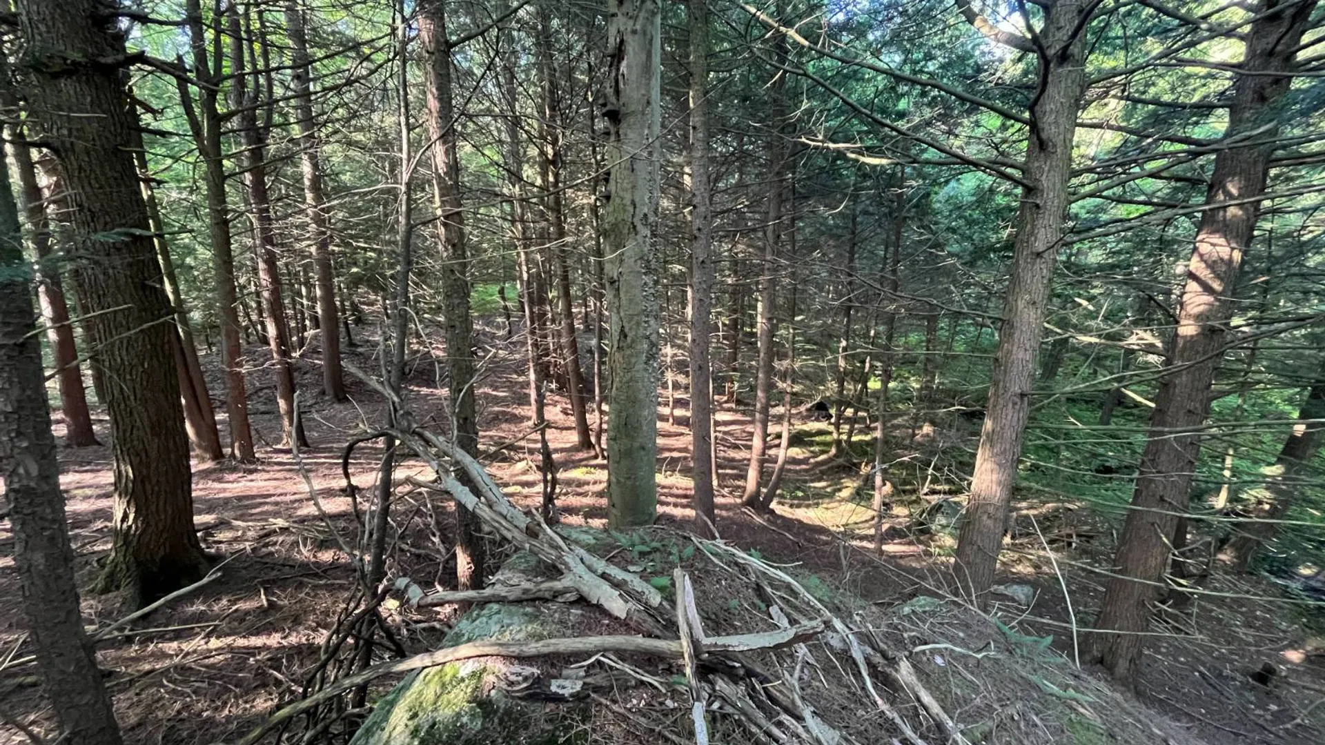 Property at 5533 County Route 24, Pierrepont, NY 13617 29