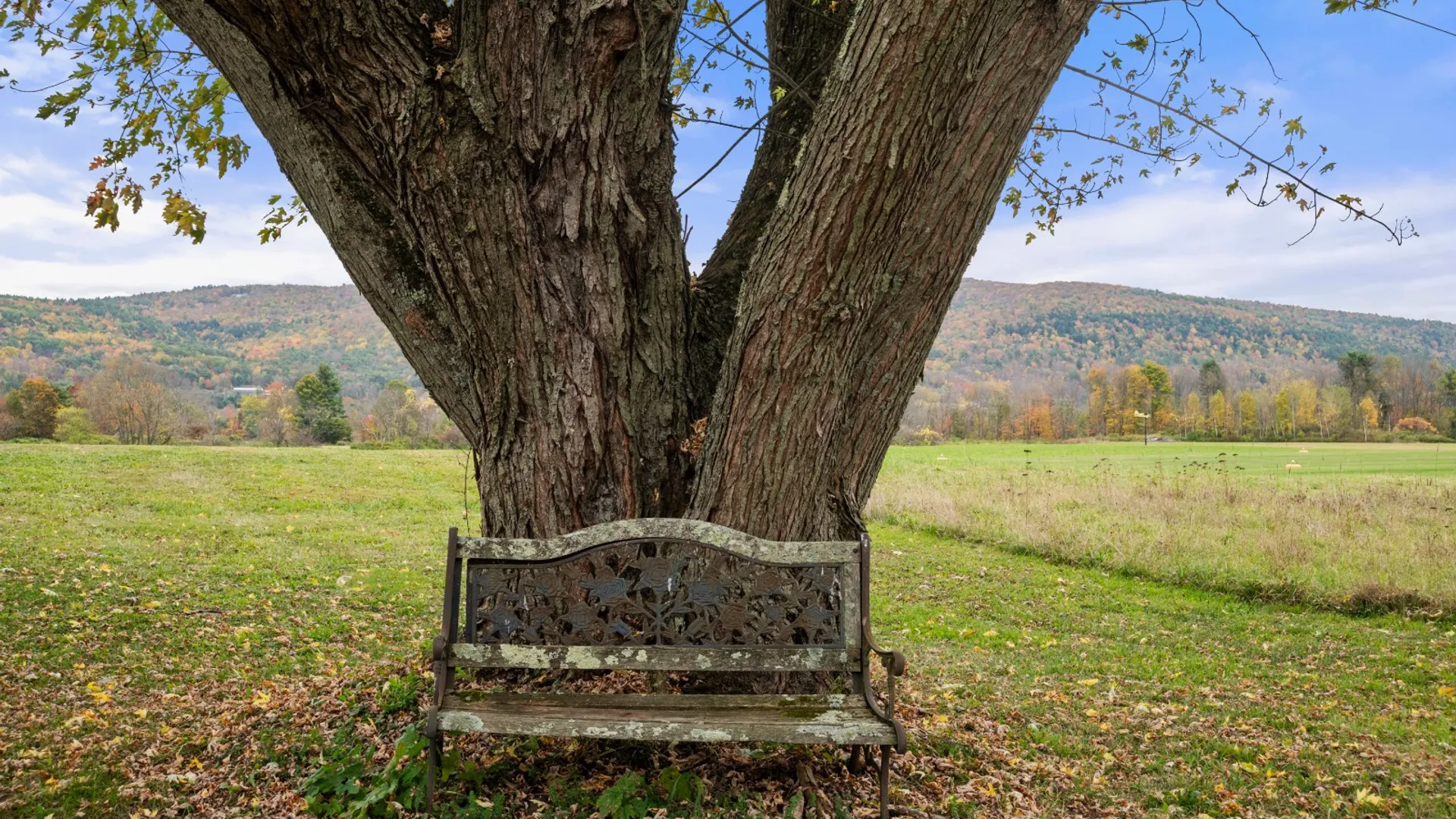 Property at 1042 State Highway 166, Cooperstown, NY 13326 40