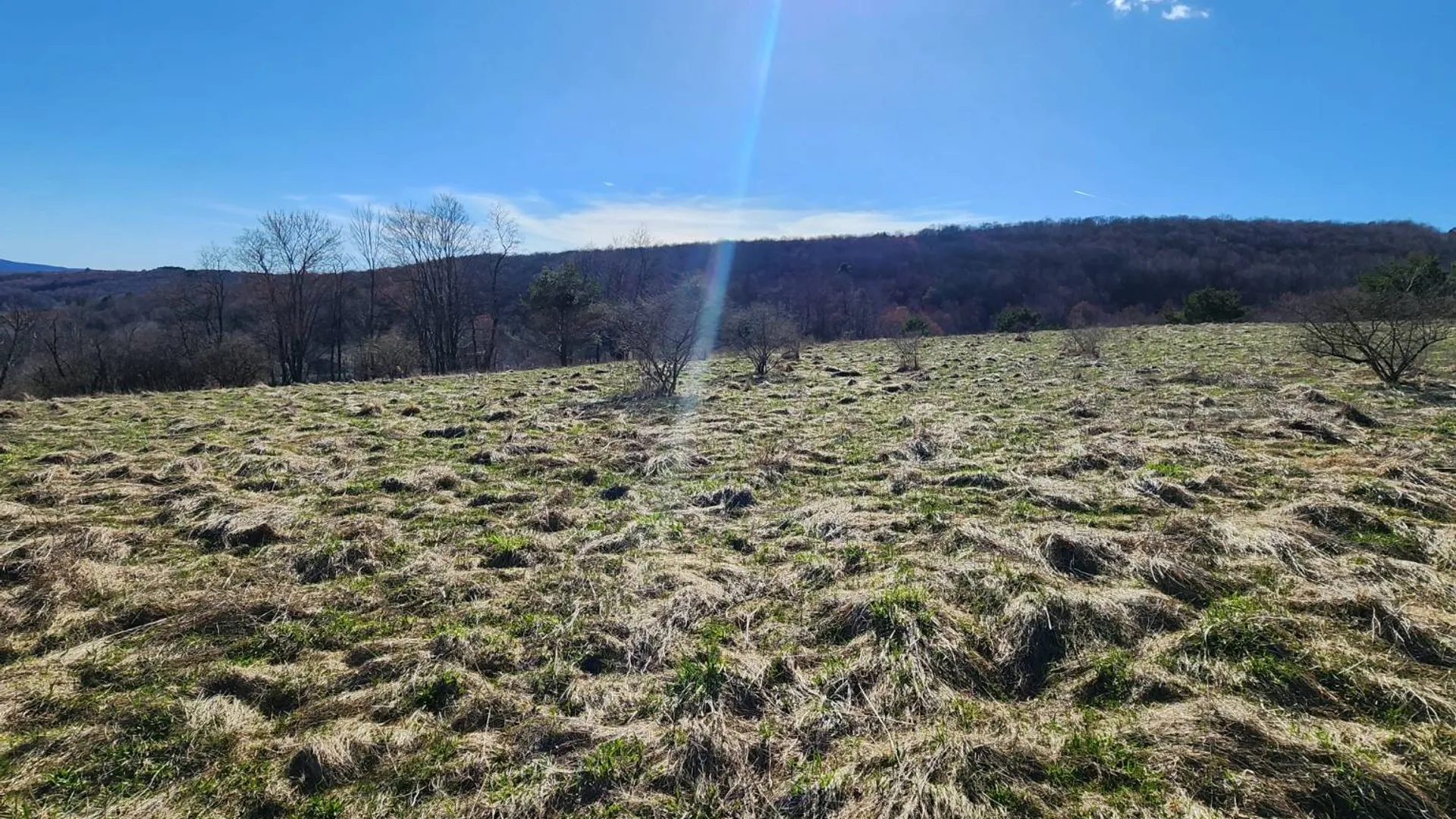 Property at L1 Lang Road, Summit, NY 12175 13