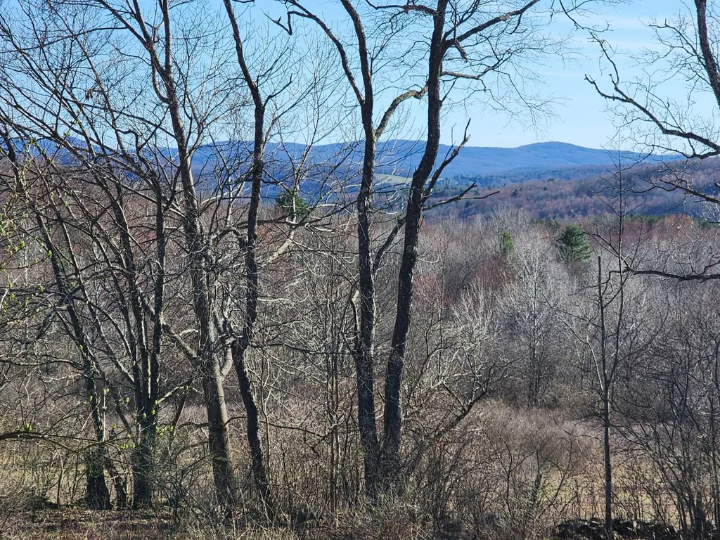 Property at L1 Lang Road, Summit, NY 12175