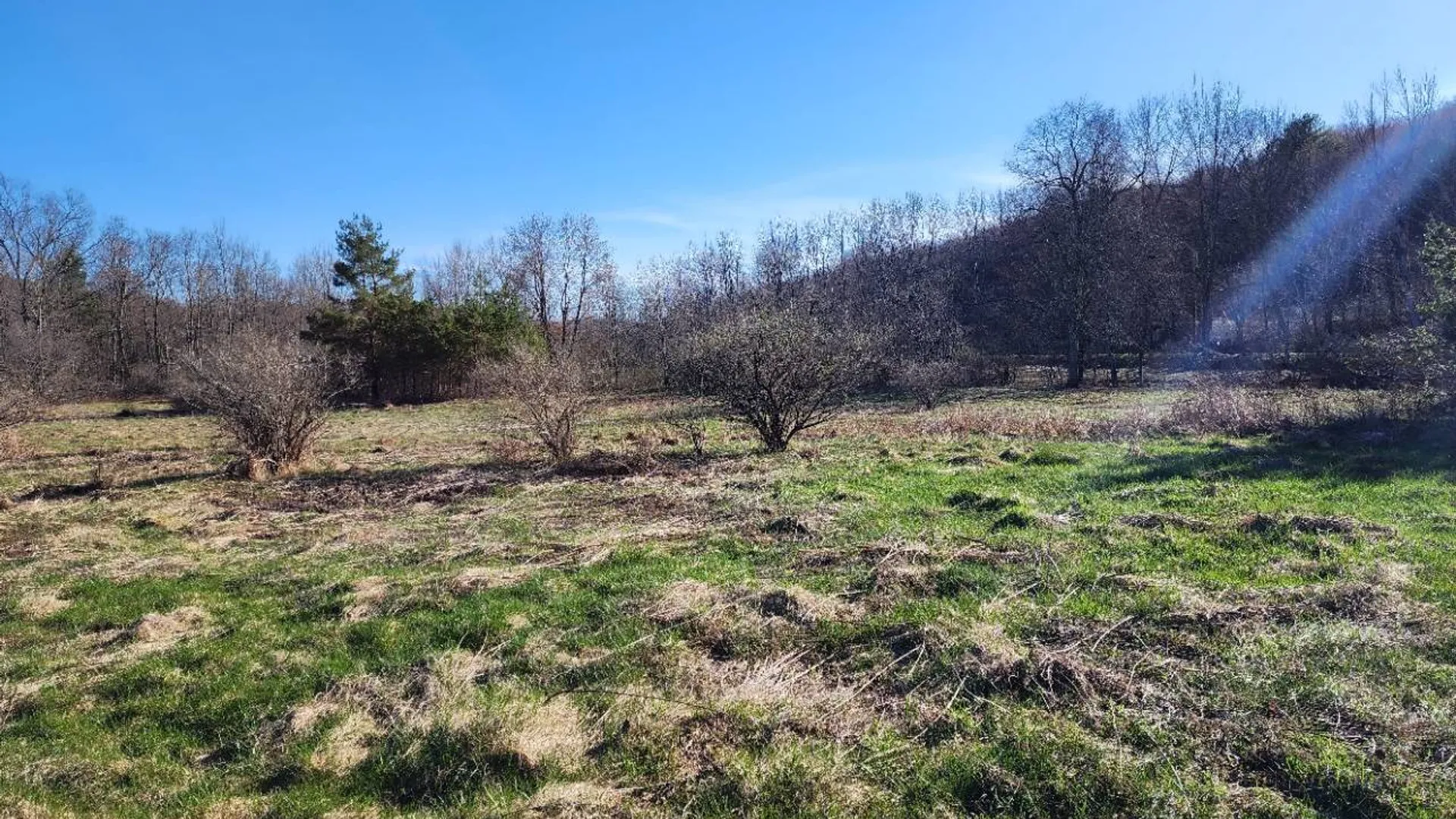 Property at L1 Lang Road, Summit, NY 12175 9
