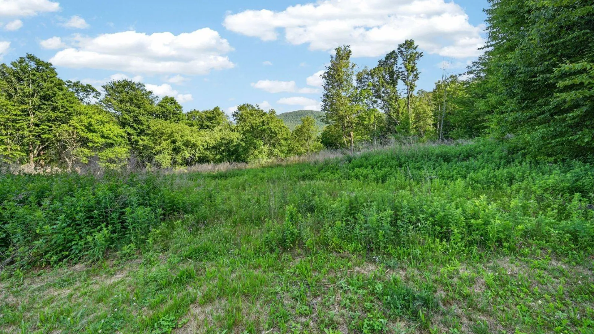 Property at 22929 State Highway 10, Walton, NY 13856 50
