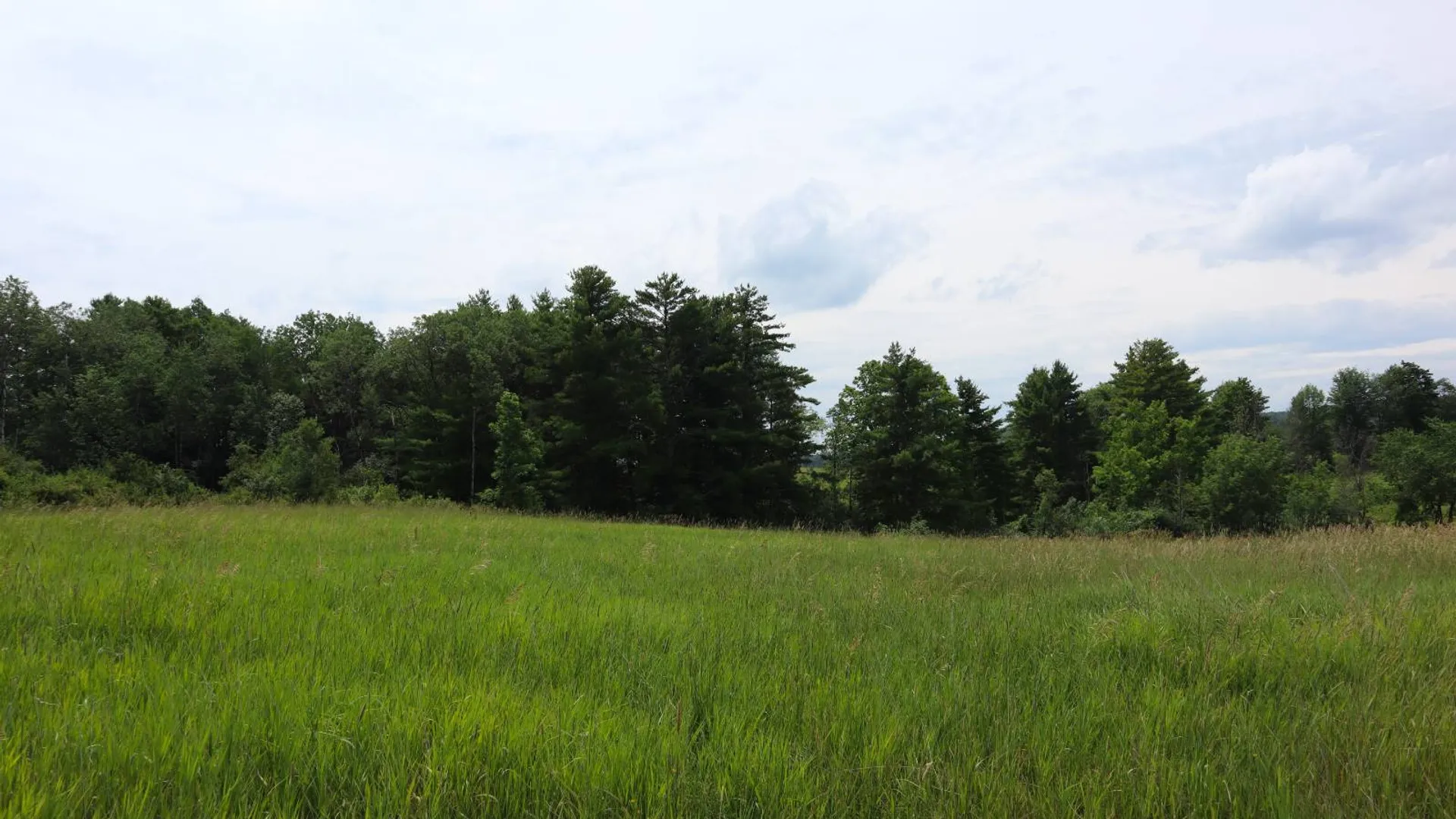 Property at 30 Rylie Way, Whitehall, NY 12887 16