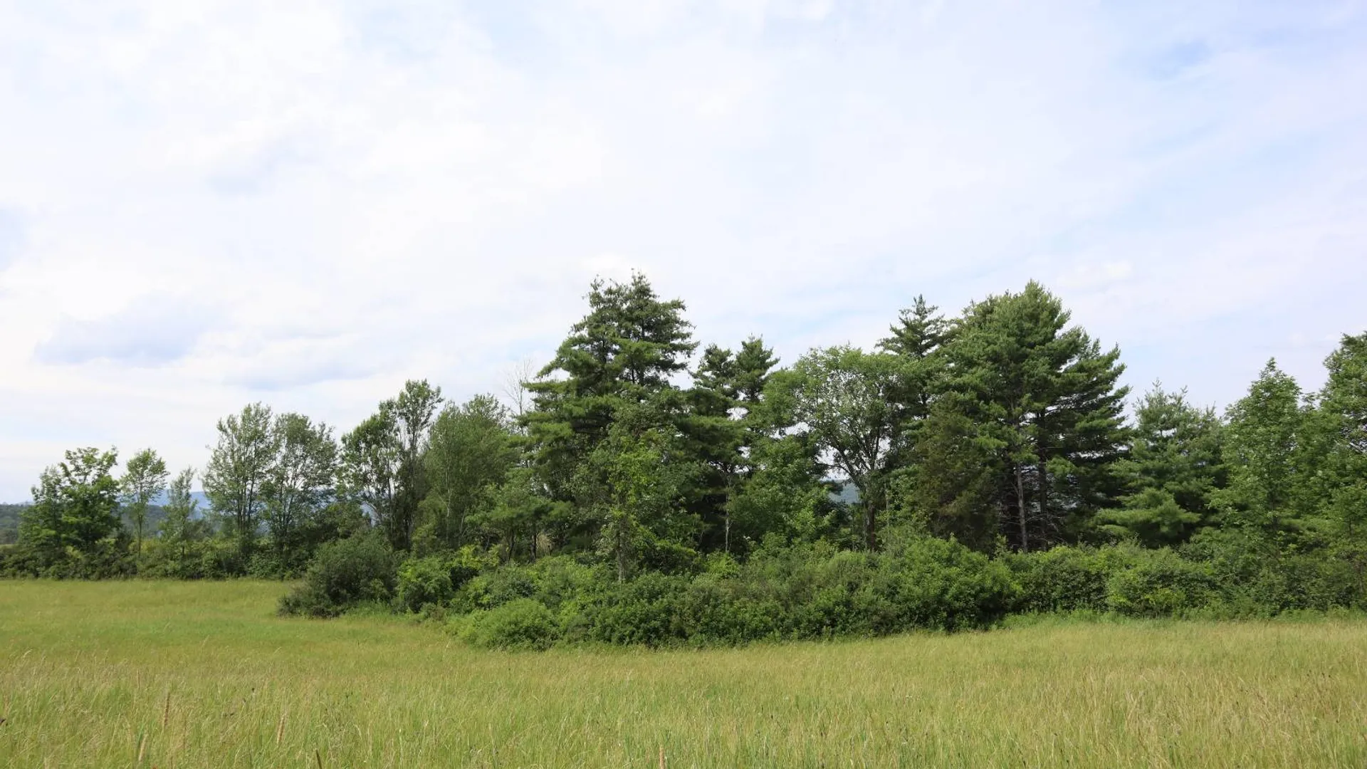 Property at 30 Rylie Way, Whitehall, NY 12887 25