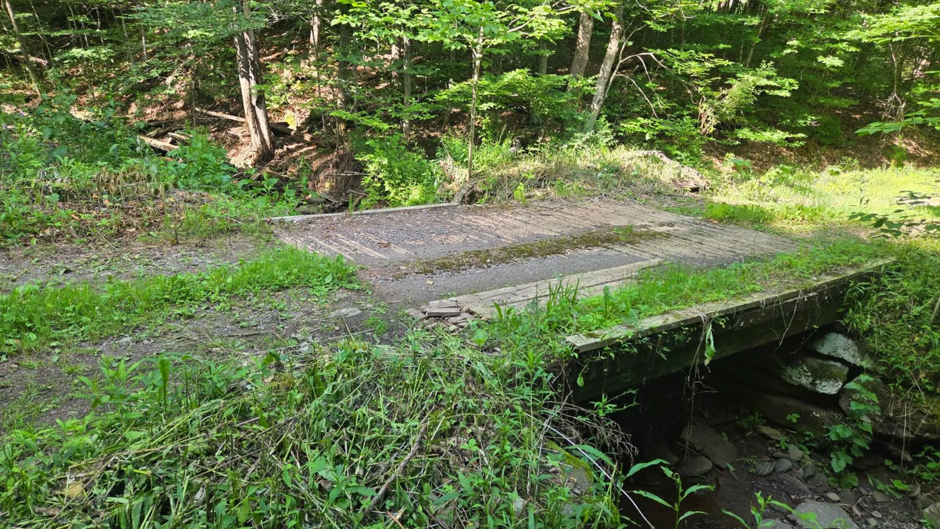 Property at 56 Franklin Road, Andes, NY 13731 18