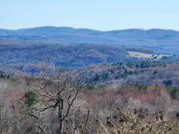 Property at L2 Lang Road, Summit, NY 12175