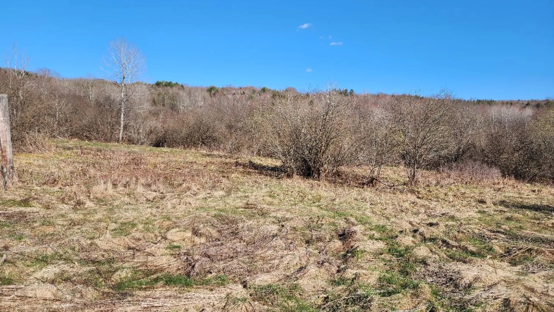 Property at L2 Lang Road, Summit, NY 12175 5