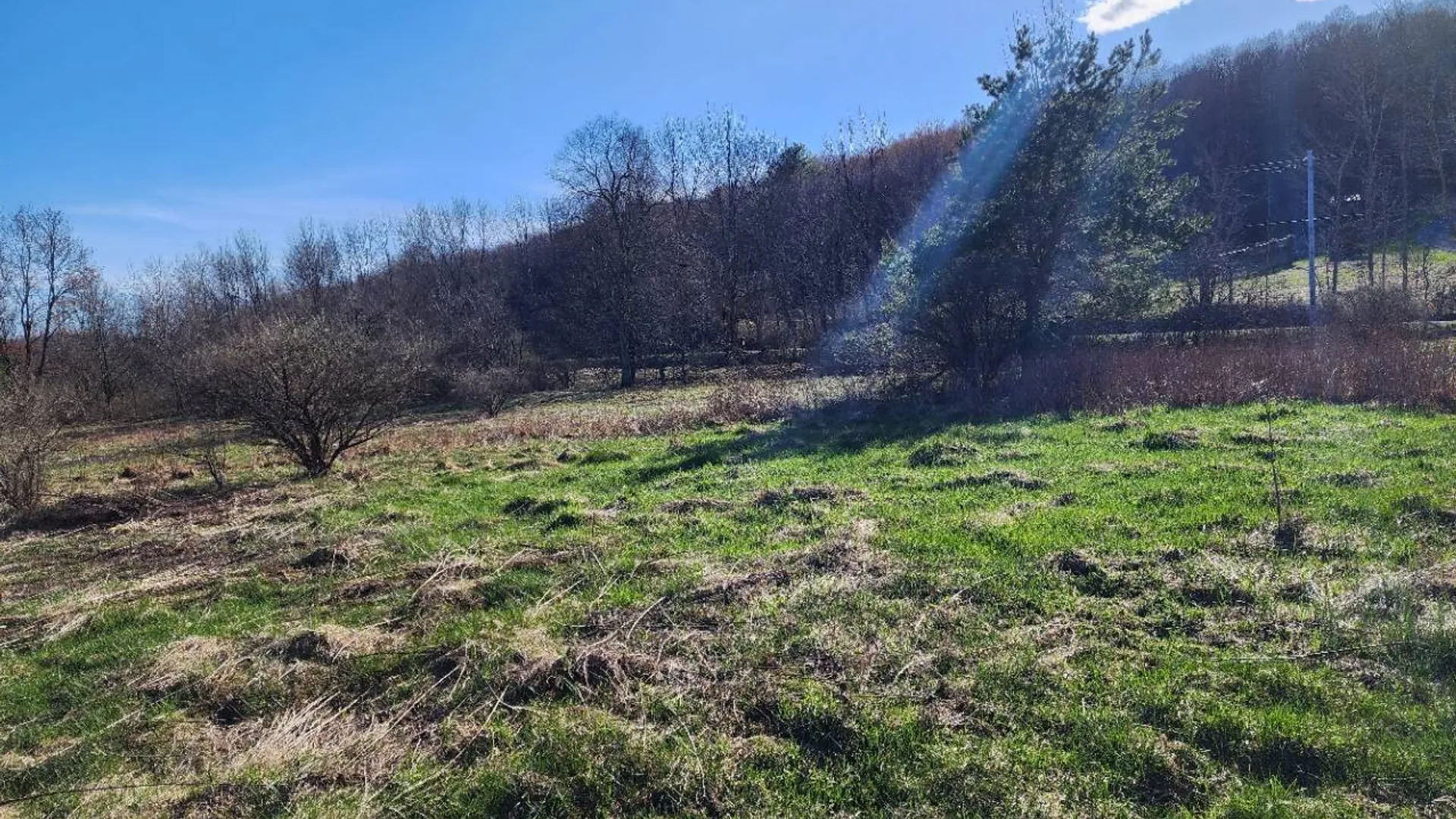 Property at L2 Lang Road, Summit, NY 12175 11