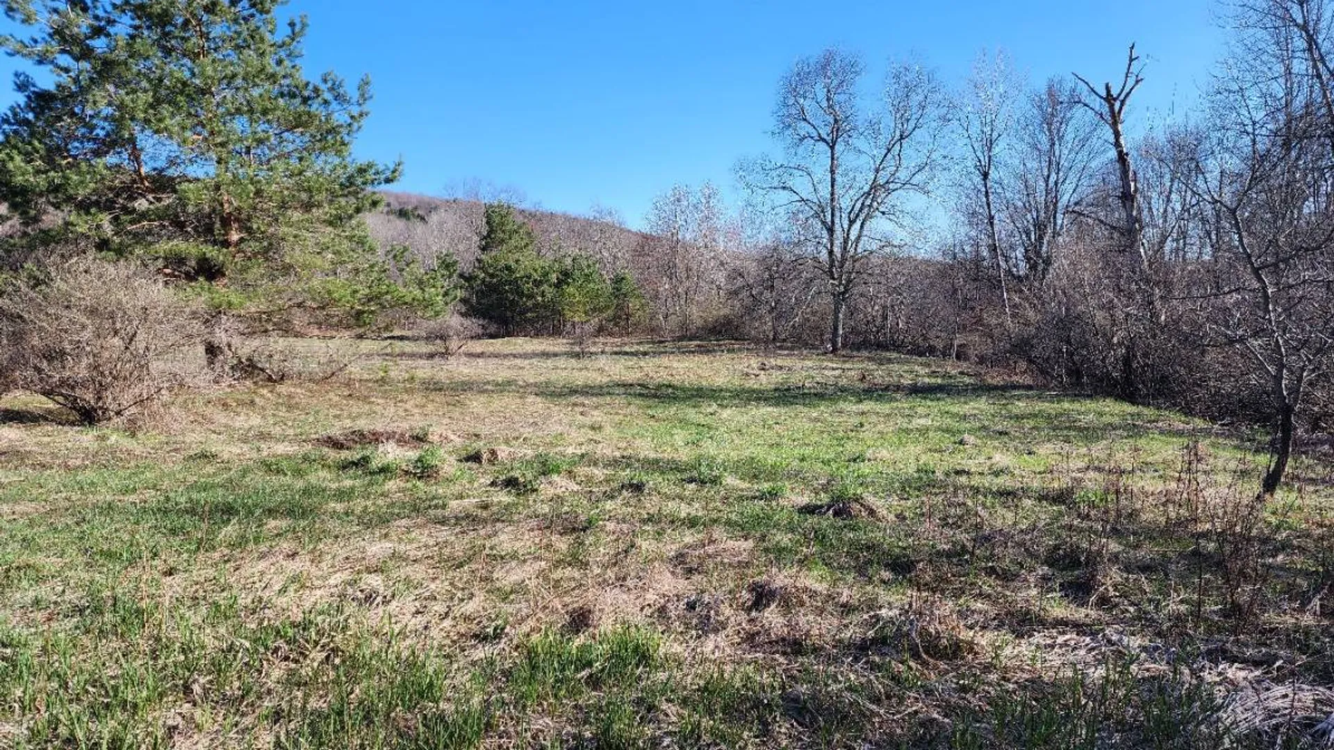 Property at L2 Lang Road, Summit, NY 12175 13