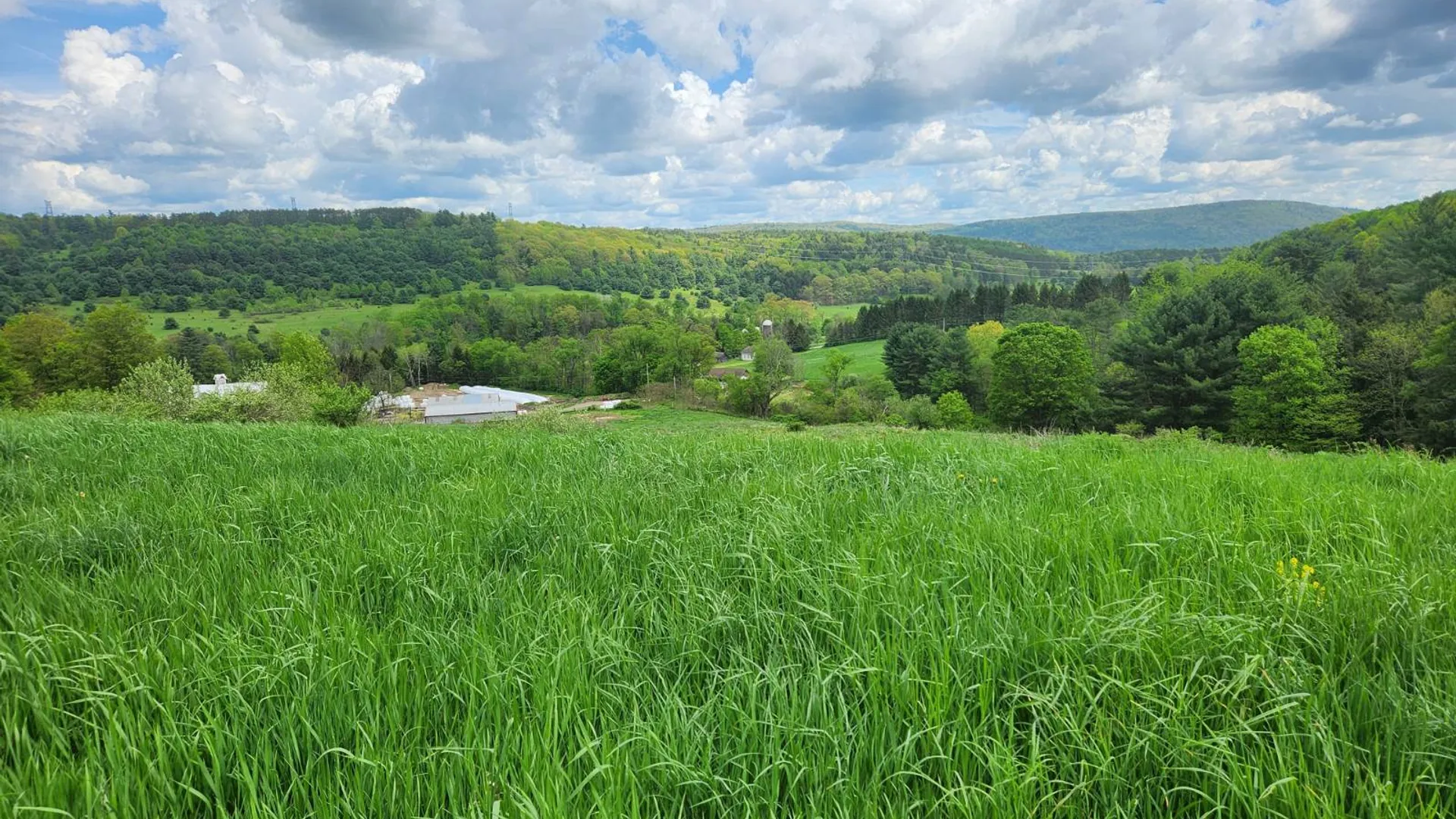 Property at 3294 State Hwy 23, West oneonta, NY 13861 2