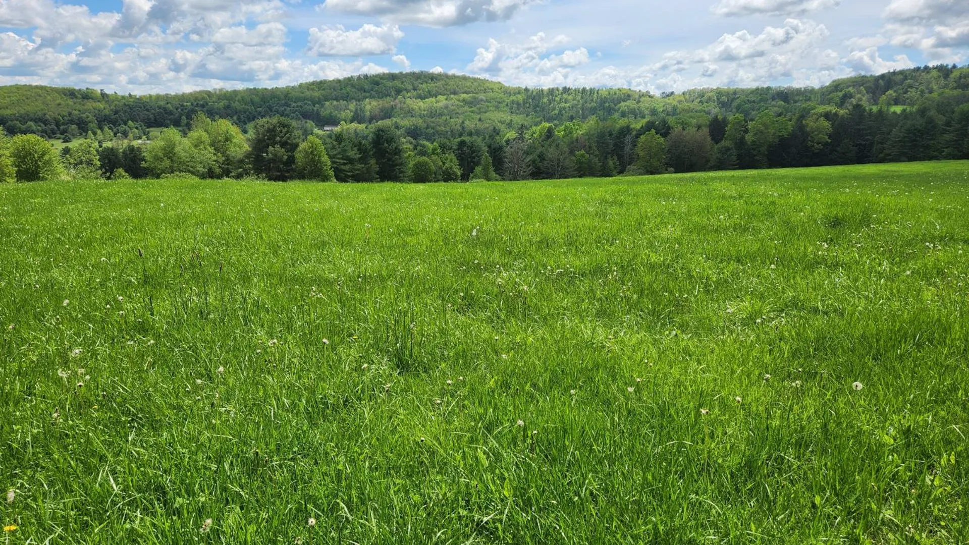 Property at 3394 State Hwy 23, West oneonta, NY 13861 3