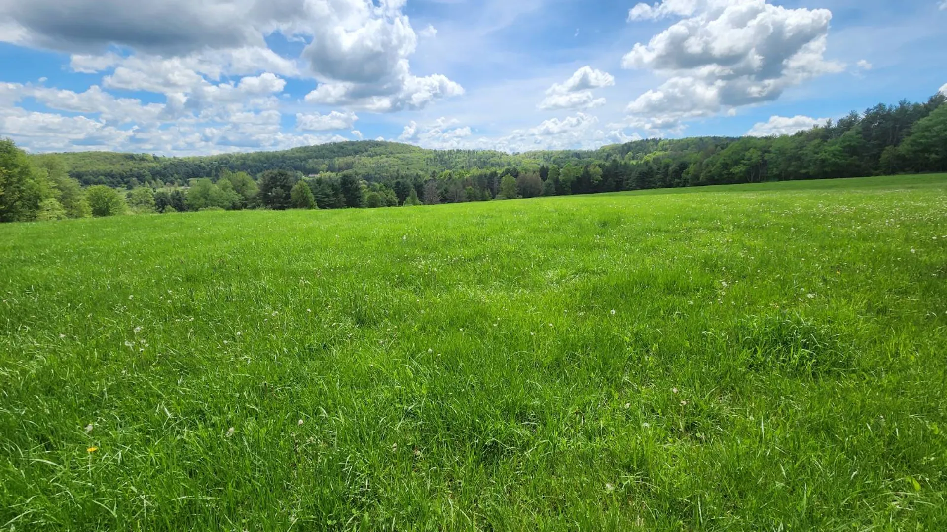 Property at 3394 State Hwy 23, West oneonta, NY 13861 4