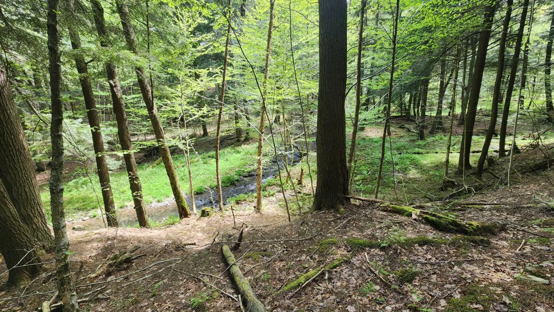Property at 3394 State Hwy 23, West oneonta, NY 13861 5