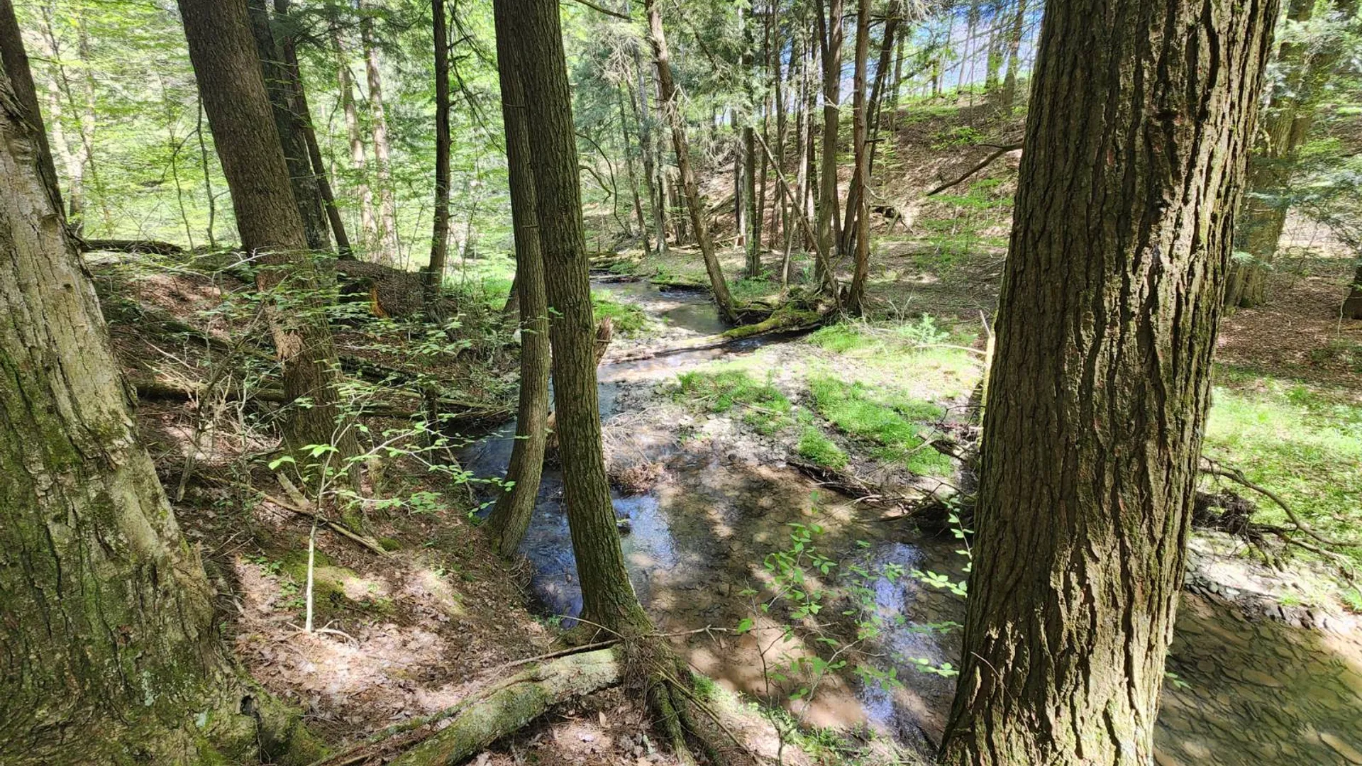 Property at 3394 State Hwy 23, West oneonta, NY 13861 6