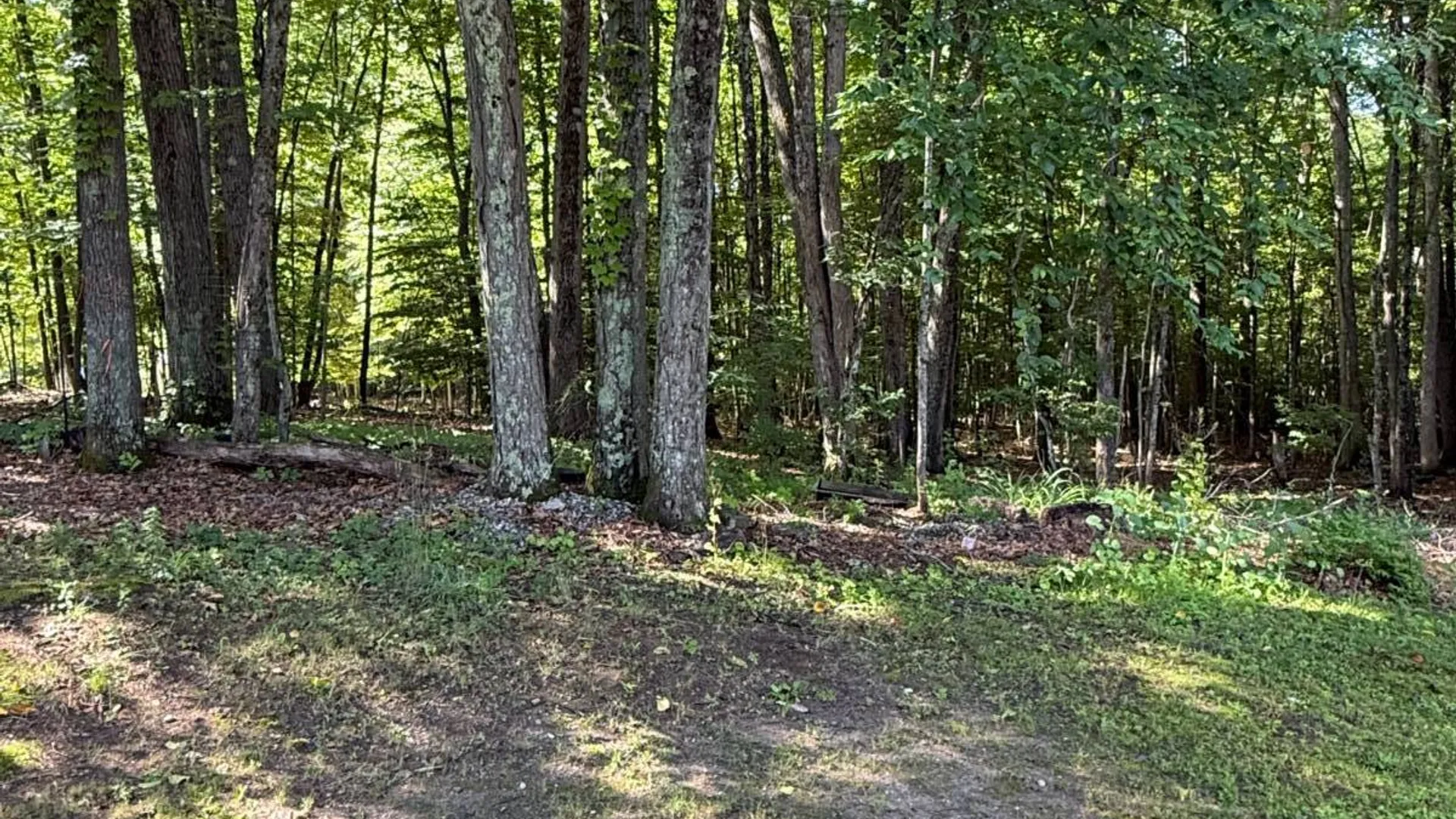 Property at 309 Greenfield Avenue, Ballston Spa, NY 12020 19