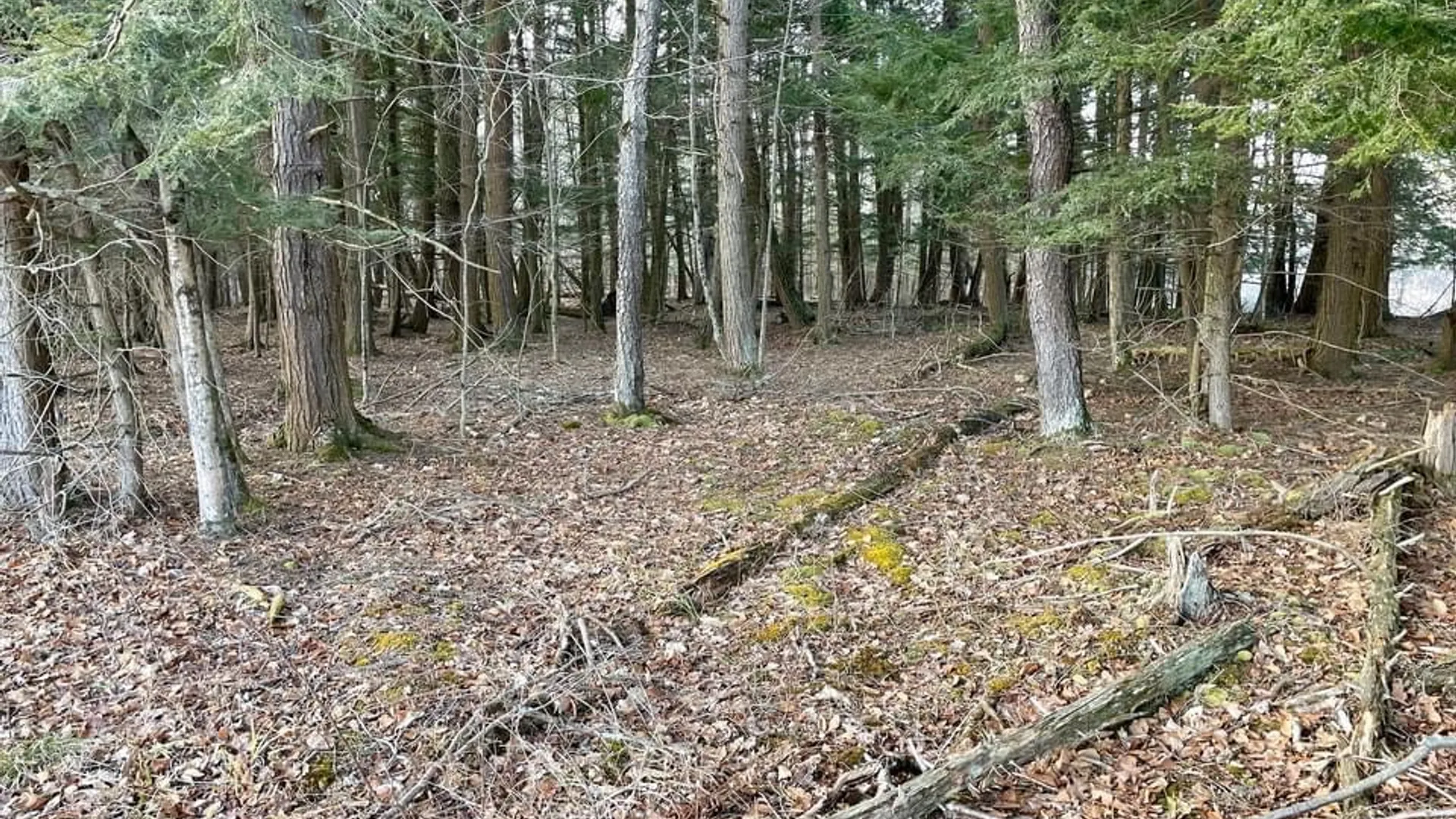 Property at 202 Melick, Root, NY 13317 13