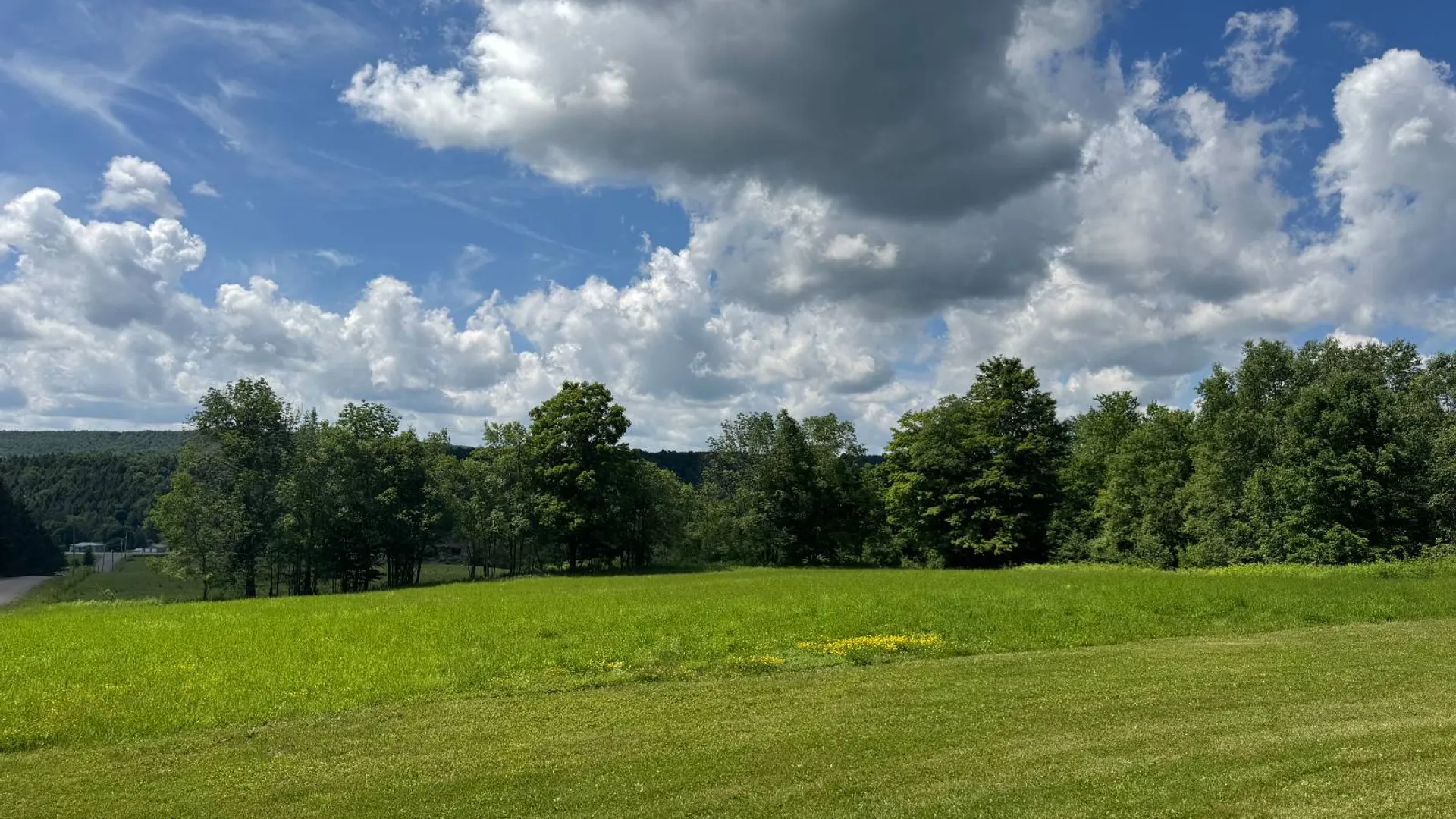 Property at 181 Pigeon Hill Rd, Plymouth, NY 13844 22