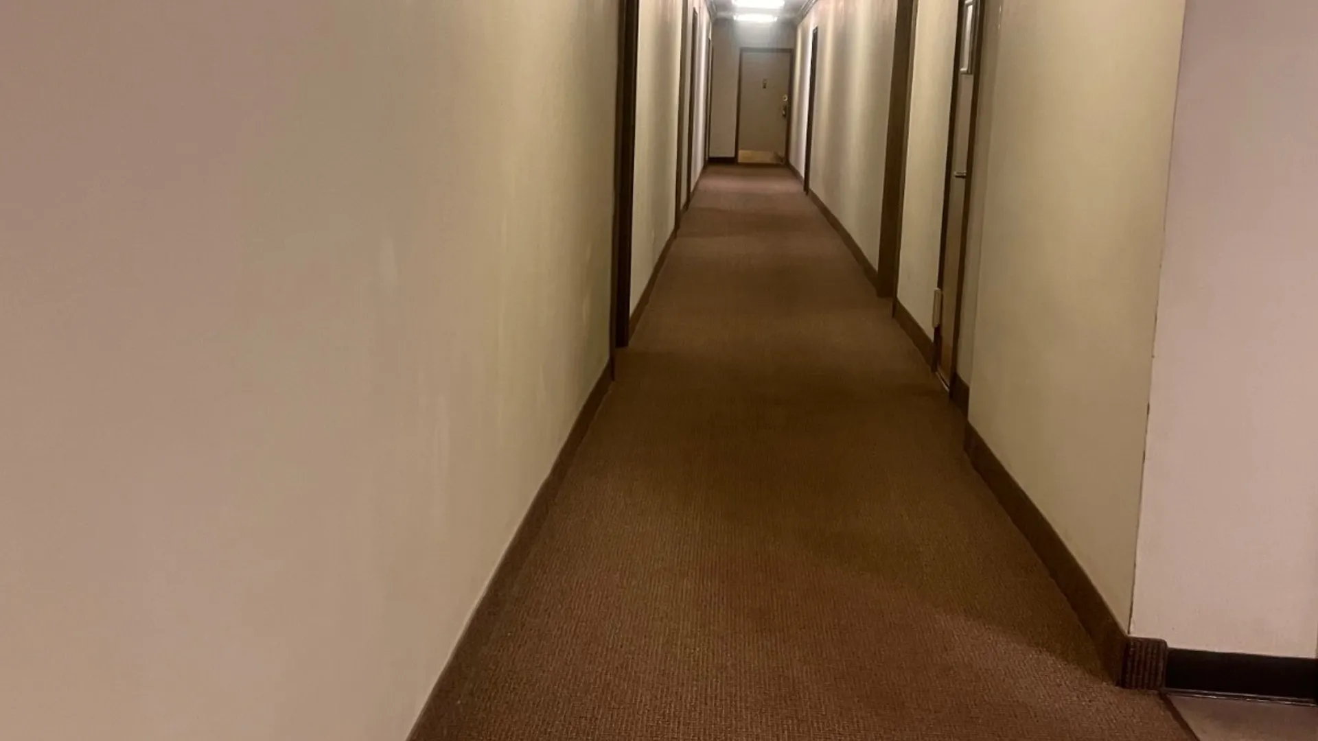 Property at 350 Richmond Terrace, Staten, NY 10301 8