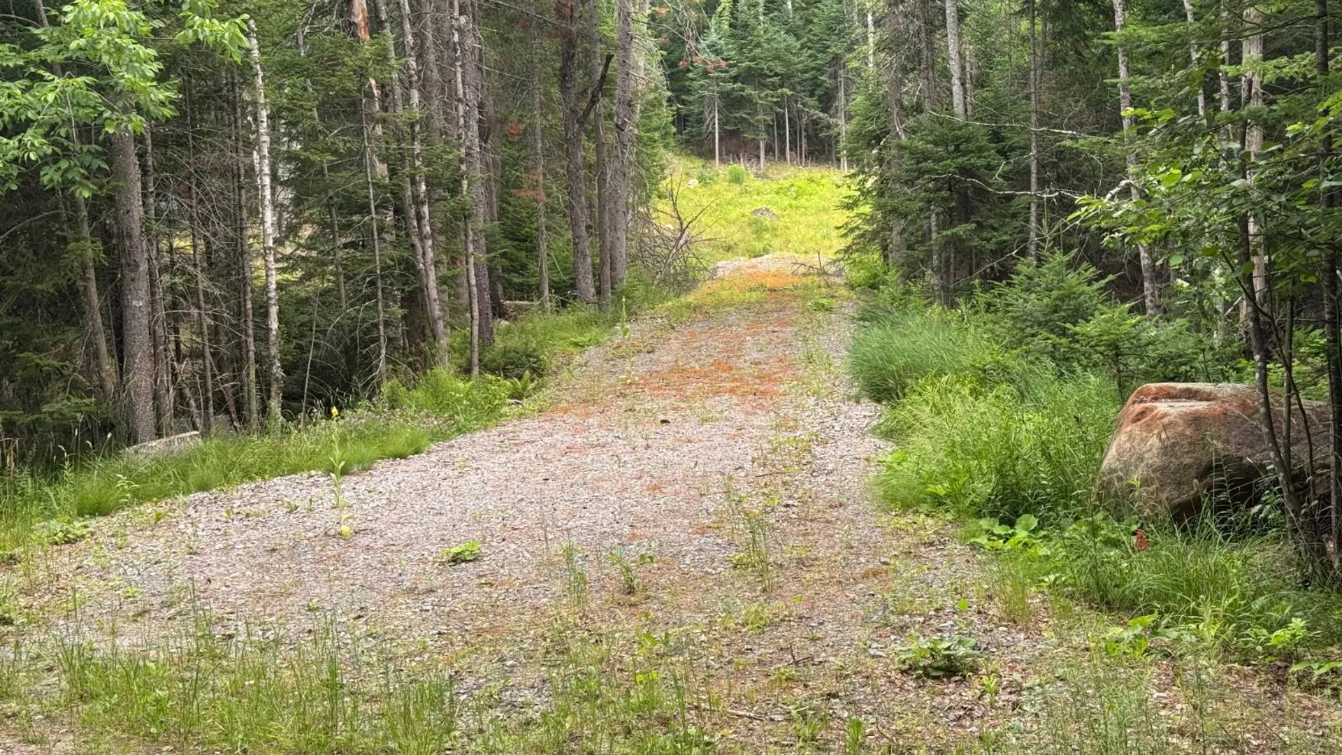 Property at L23 Lake Snow, Indian Lake, NY 12842 3