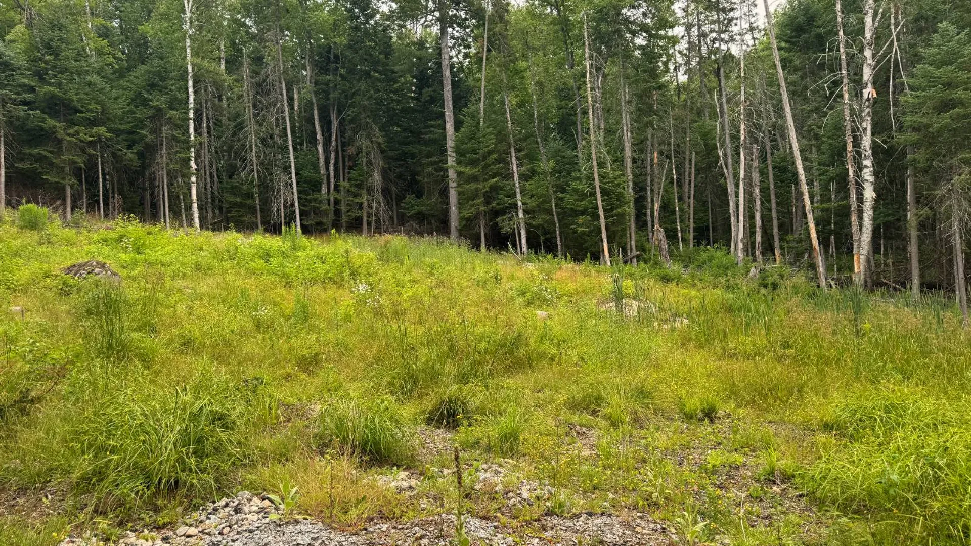 Property at L23 Lake Snow, Indian Lake, NY 12842 7