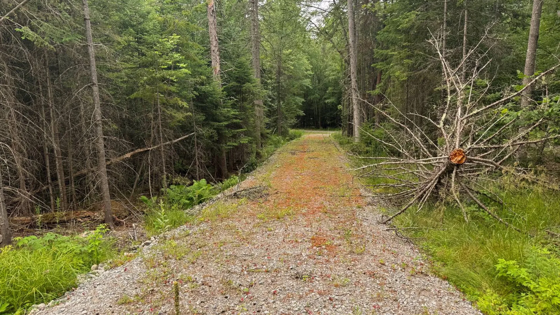 Property at L23 Lake Snow, Indian Lake, NY 12842 9