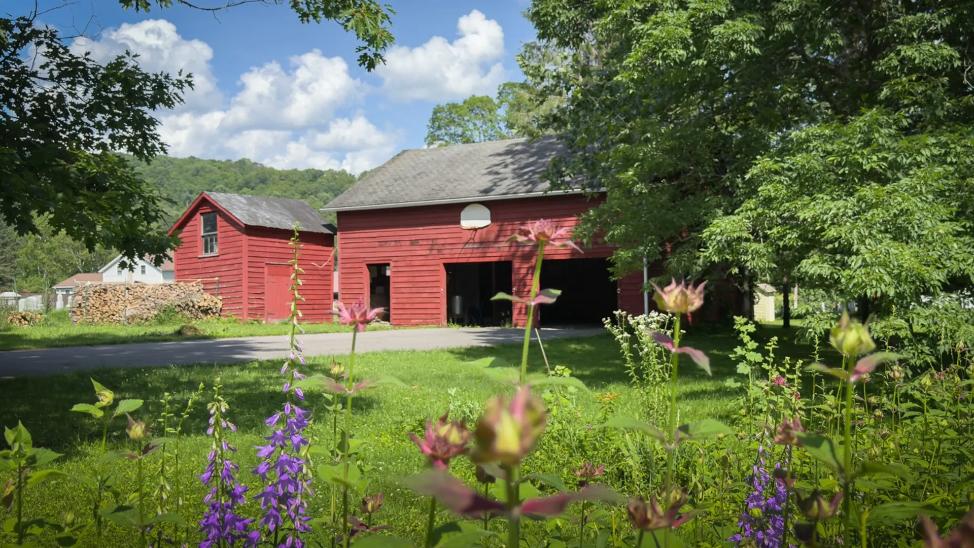 Property at 113 State Highway 165, Roseboom, NY 13450 10