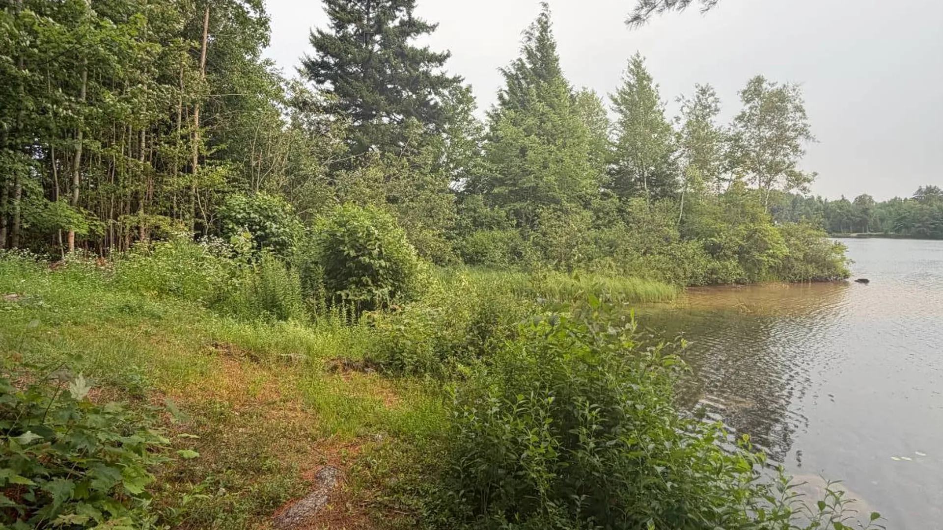 Property at 1070 Oswegatchie Trail Rd., Star Lake, NY 13690 25