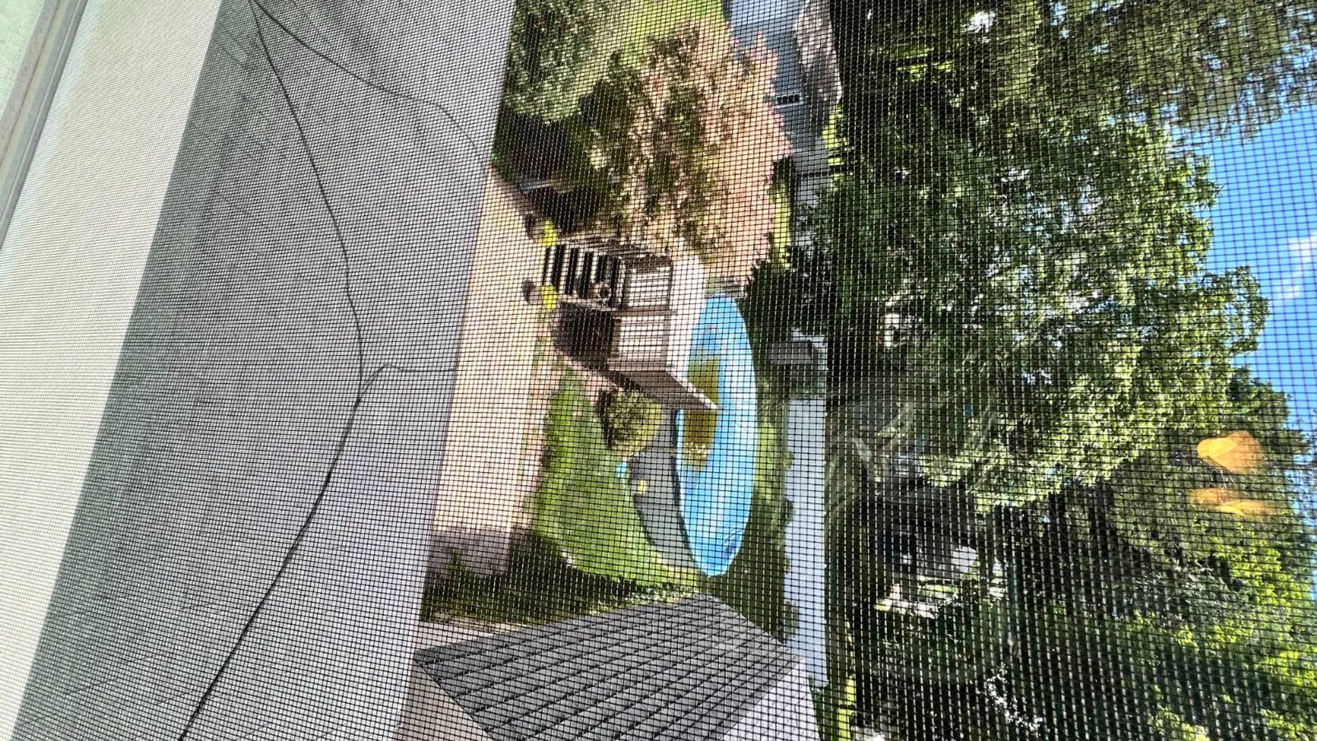 Property at 109 Second St, scotia, NY 12302 20