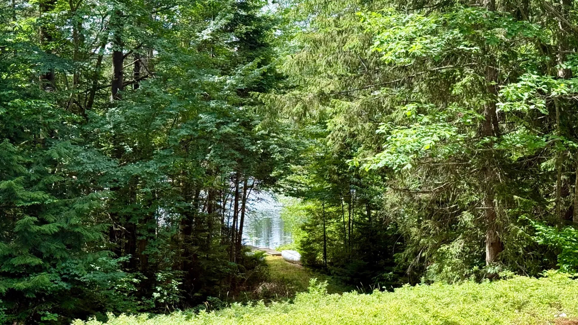 Property at 193 Old Piseco Road, Piseco, NY 12108 11