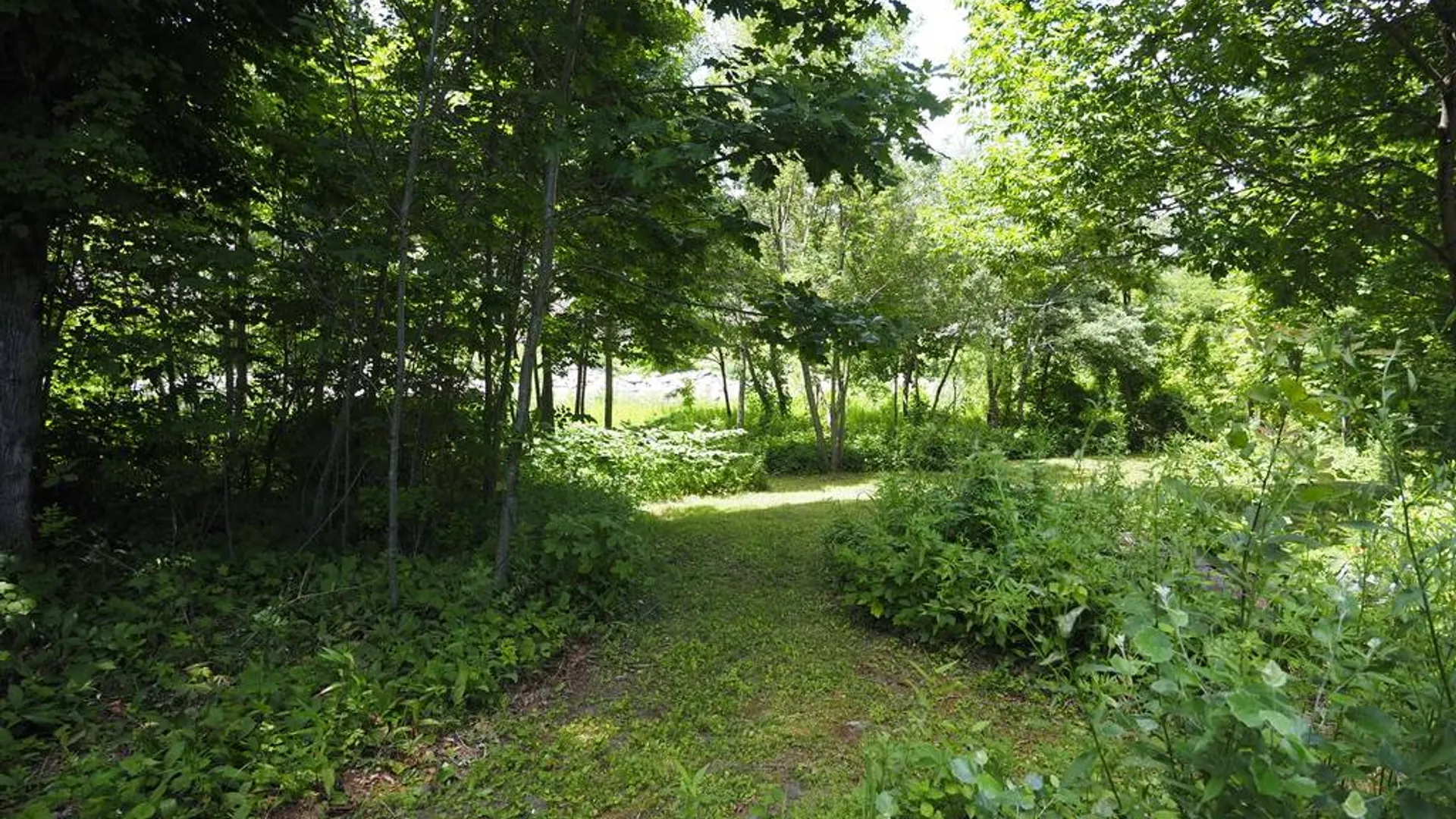 Property at 759 Young's Corners Rd, Amsterdam, NY 12010 11