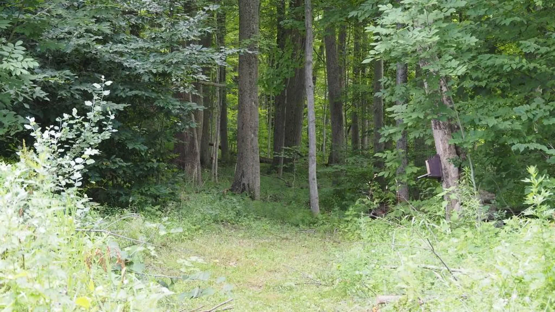 Property at 759 Young's Corners Rd, Amsterdam, NY 12010 9