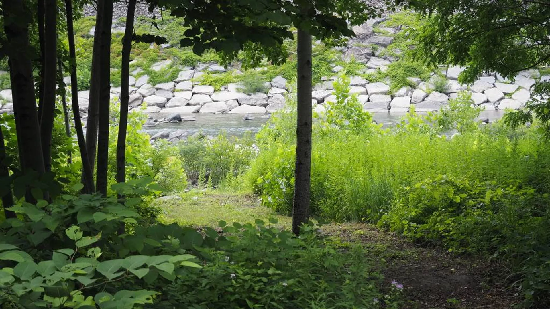 Property at 759 Young's Corners Rd, Amsterdam, NY 12010 10
